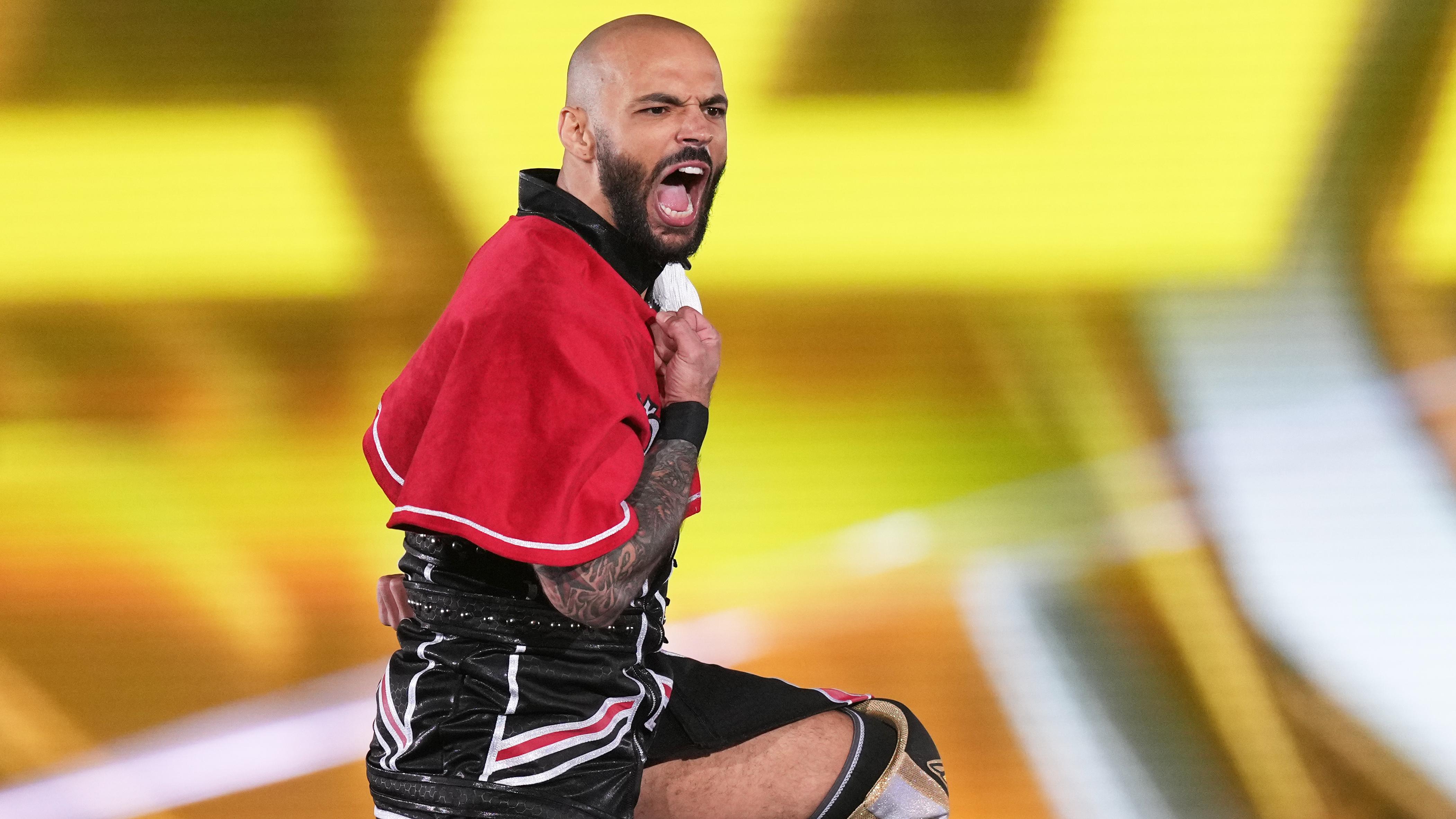 New Japan Pro-Wrestling - Wrestle Dynasty