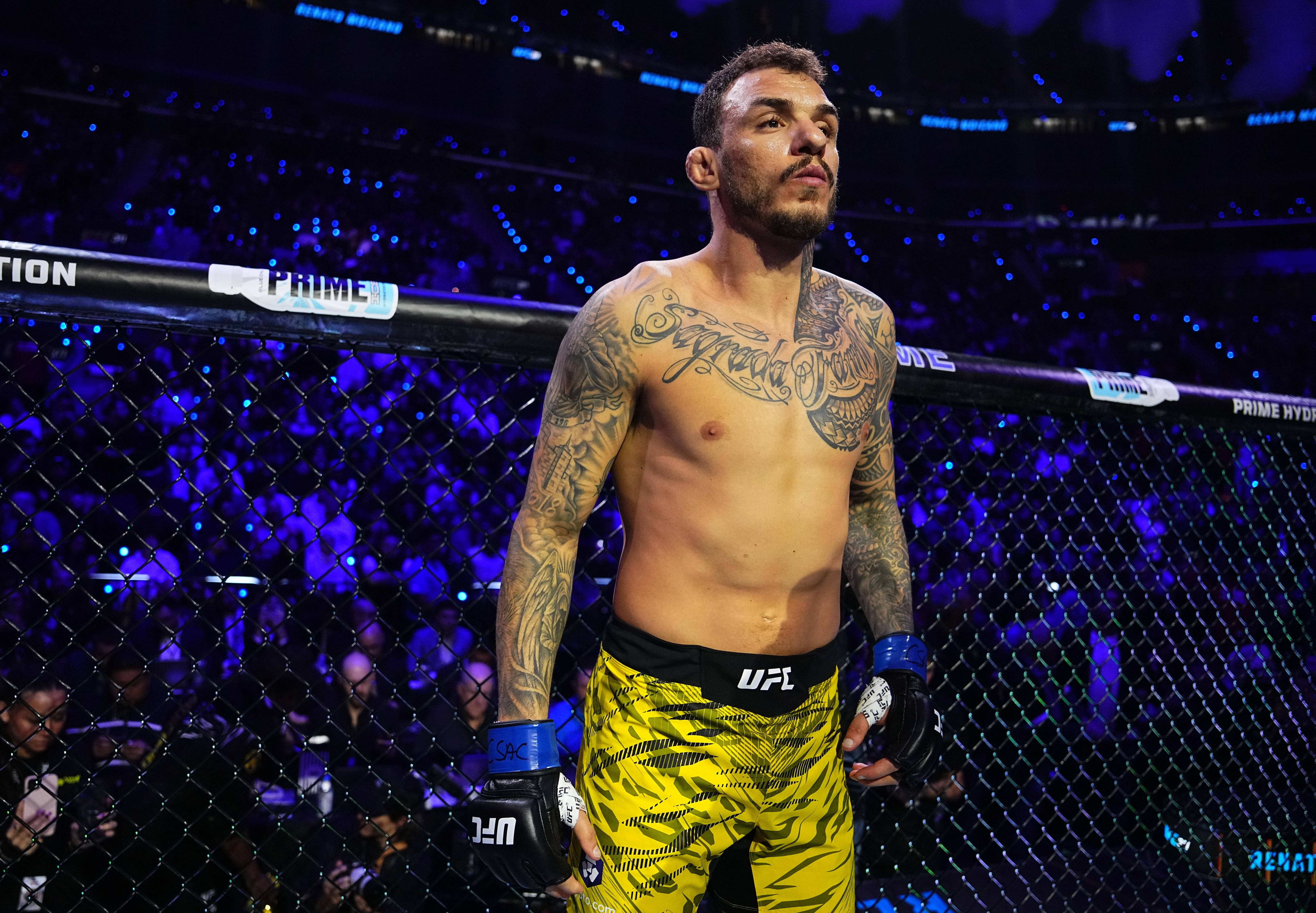 UFC 311: Makhachev vs Moicano