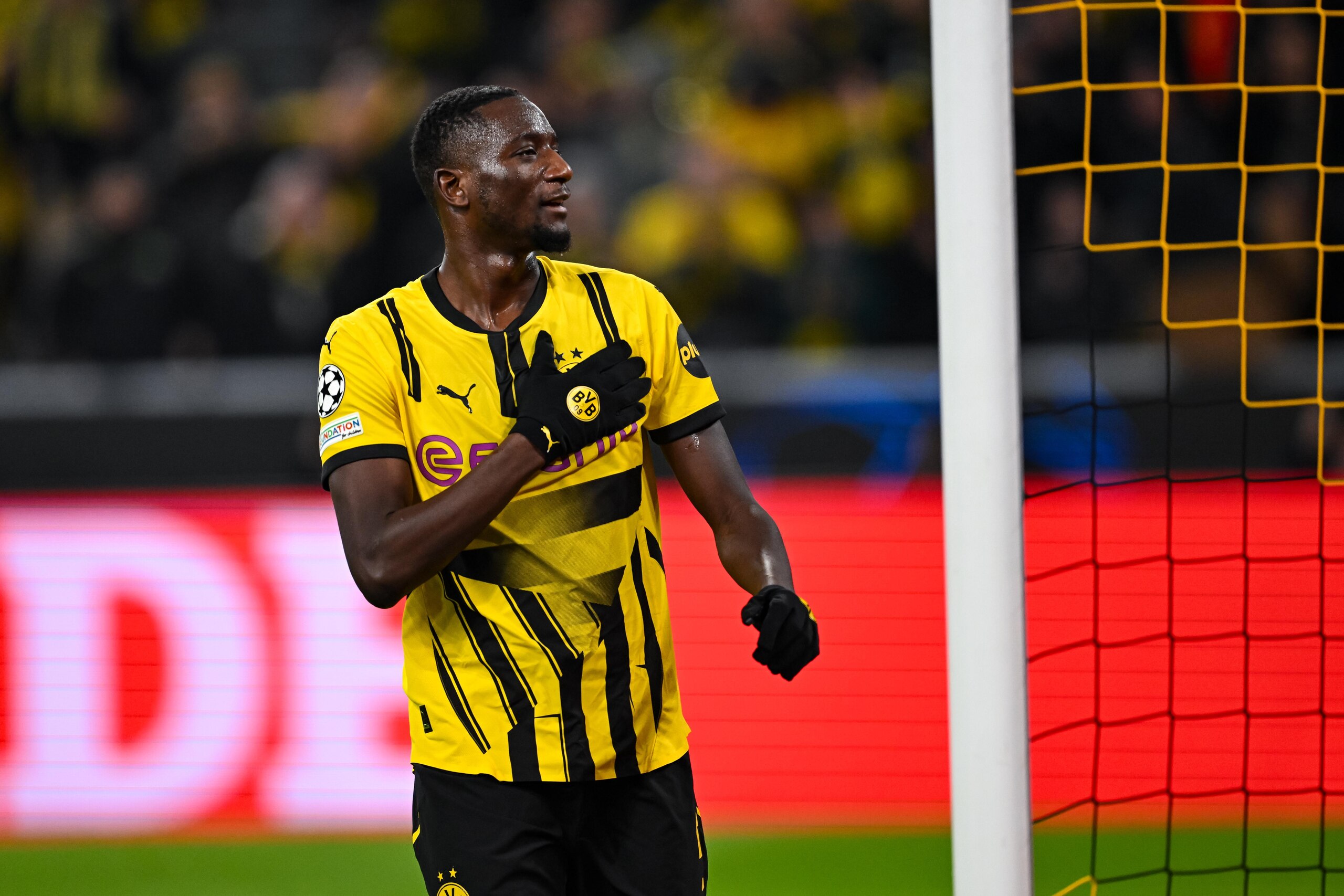 Borussia Dortmund v FC Shakhtar Donetsk - UEFA Champions League 2024/25 League Phase MD8 Borussia Dortmund v FC Shakhtar Donetsk - UEFA Champions League 2024/25 League Phase MD8