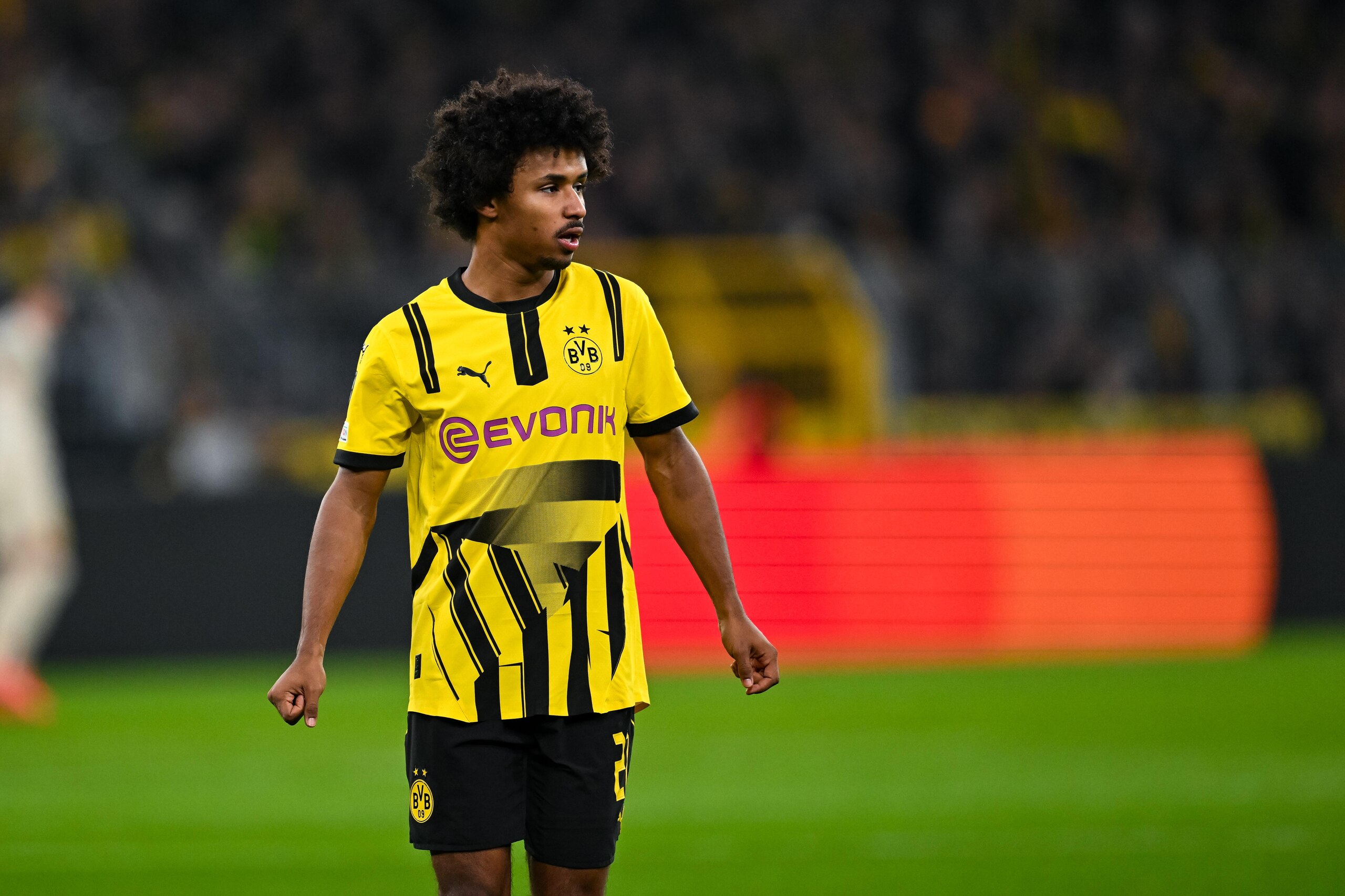 Borussia Dortmund v FC Shakhtar Donetsk - UEFA Champions League 2024/25 League Phase MD8 Borussia Dortmund v FC Shakhtar Donetsk - UEFA Champions League 2024/25 League Phase MD8