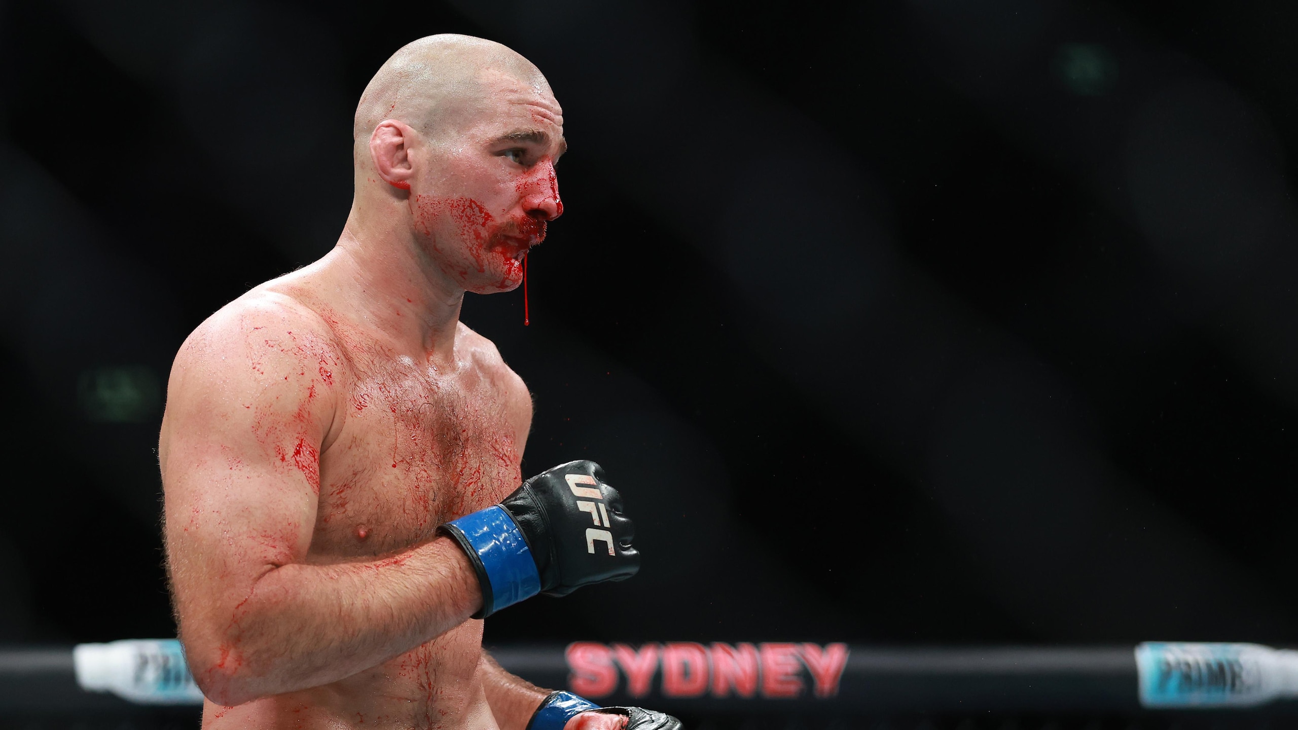UFC 312: Du Plessis v Strickland 2