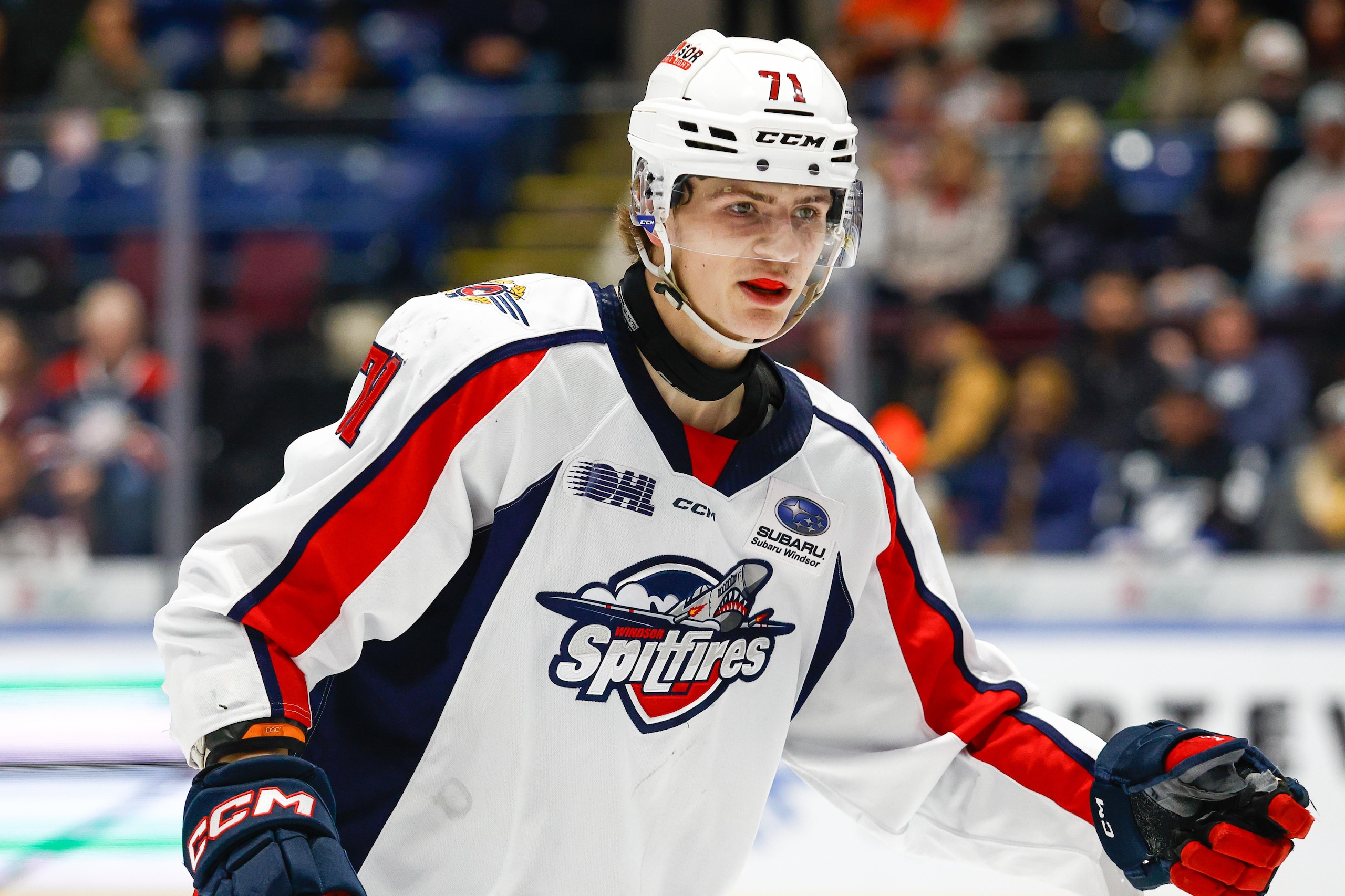 Windsor Spitfires v Saginaw Spirit Windsor Spitfires v Saginaw Spirit