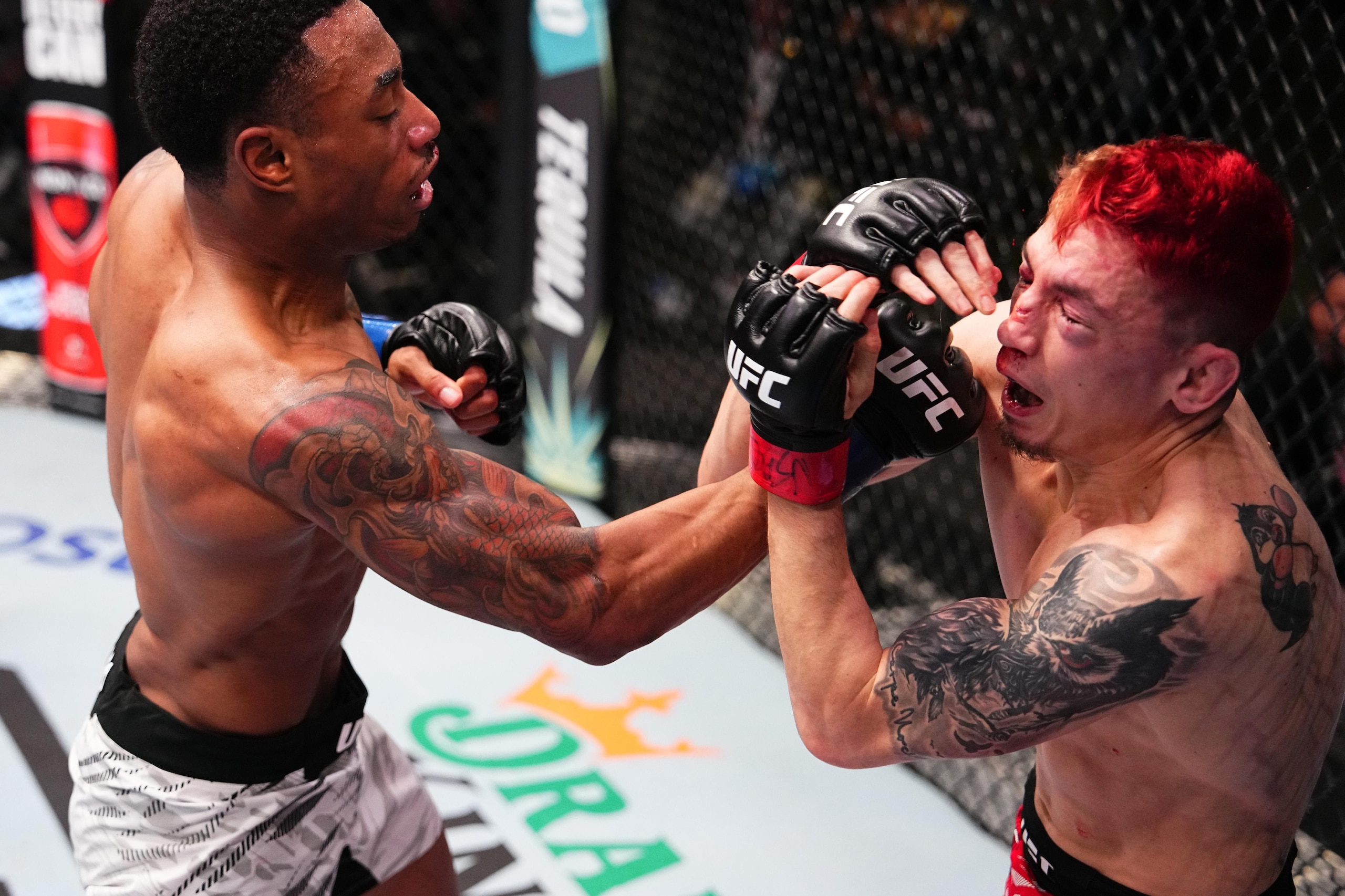 UFC Fight Night: Morales v Smith UFC Fight Night: Morales v Smith