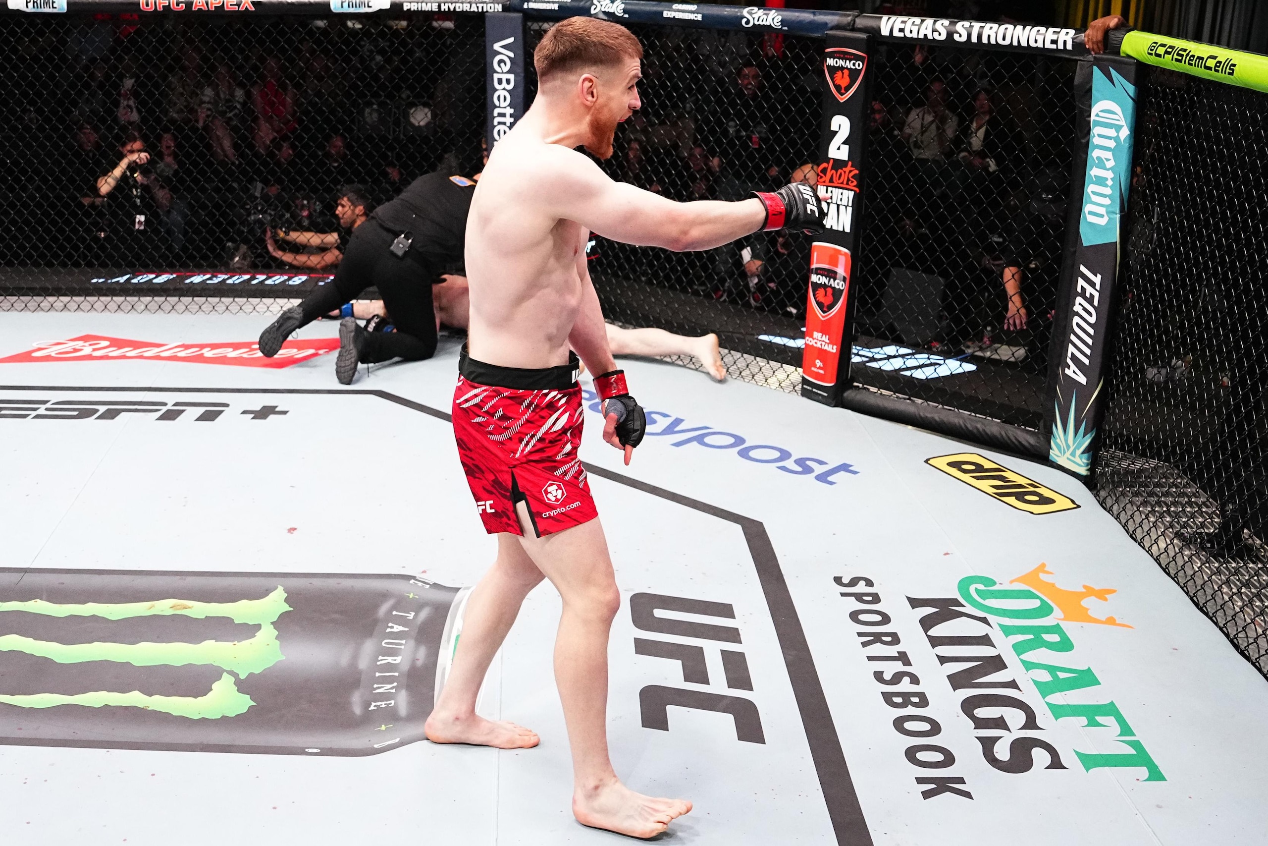 UFC Fight Night: Shahbazyan v Budka UFC Fight Night: Shahbazyan v Budka