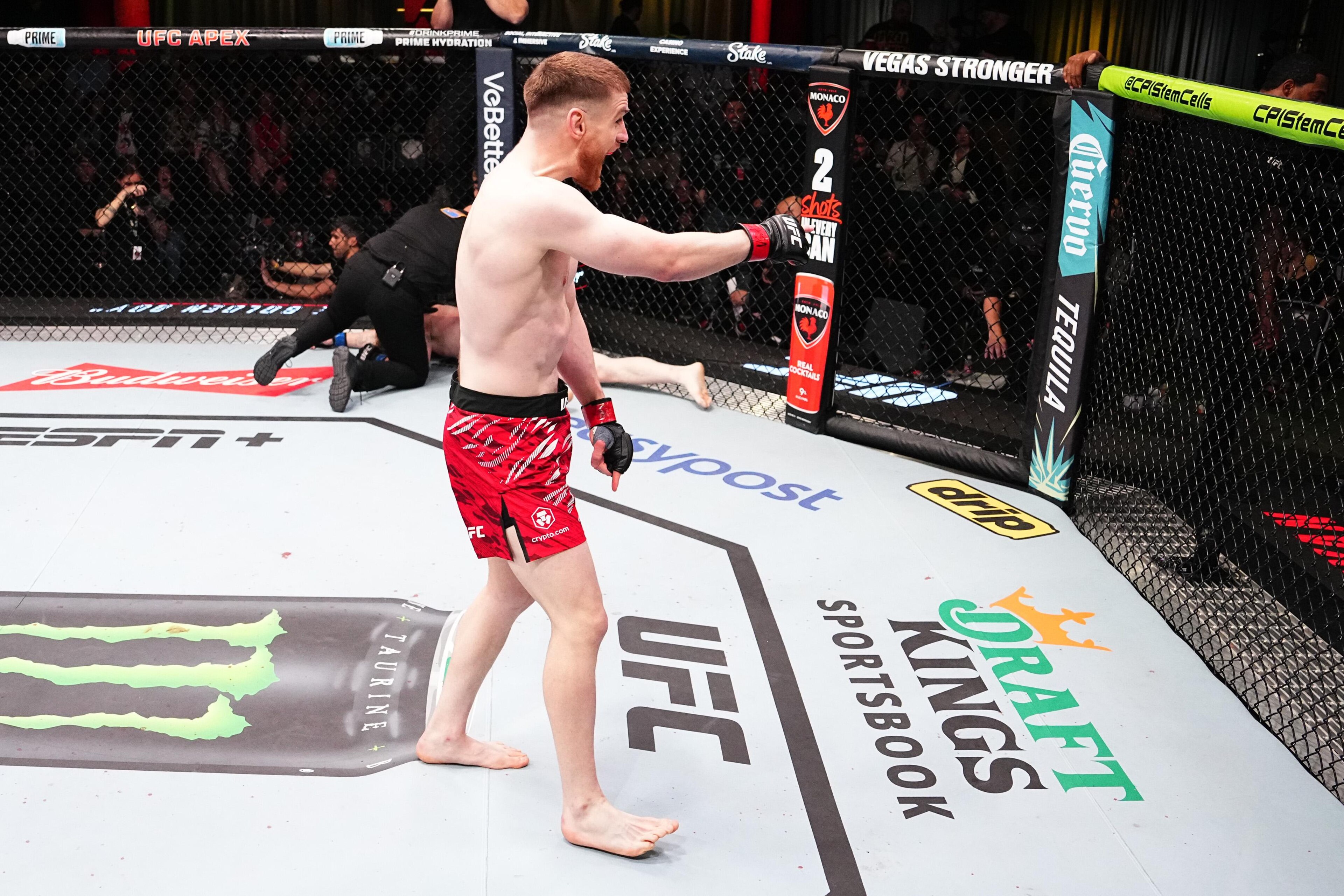 UFC Fight Night: Shahbazyan v Budka UFC Fight Night: Shahbazyan v Budka