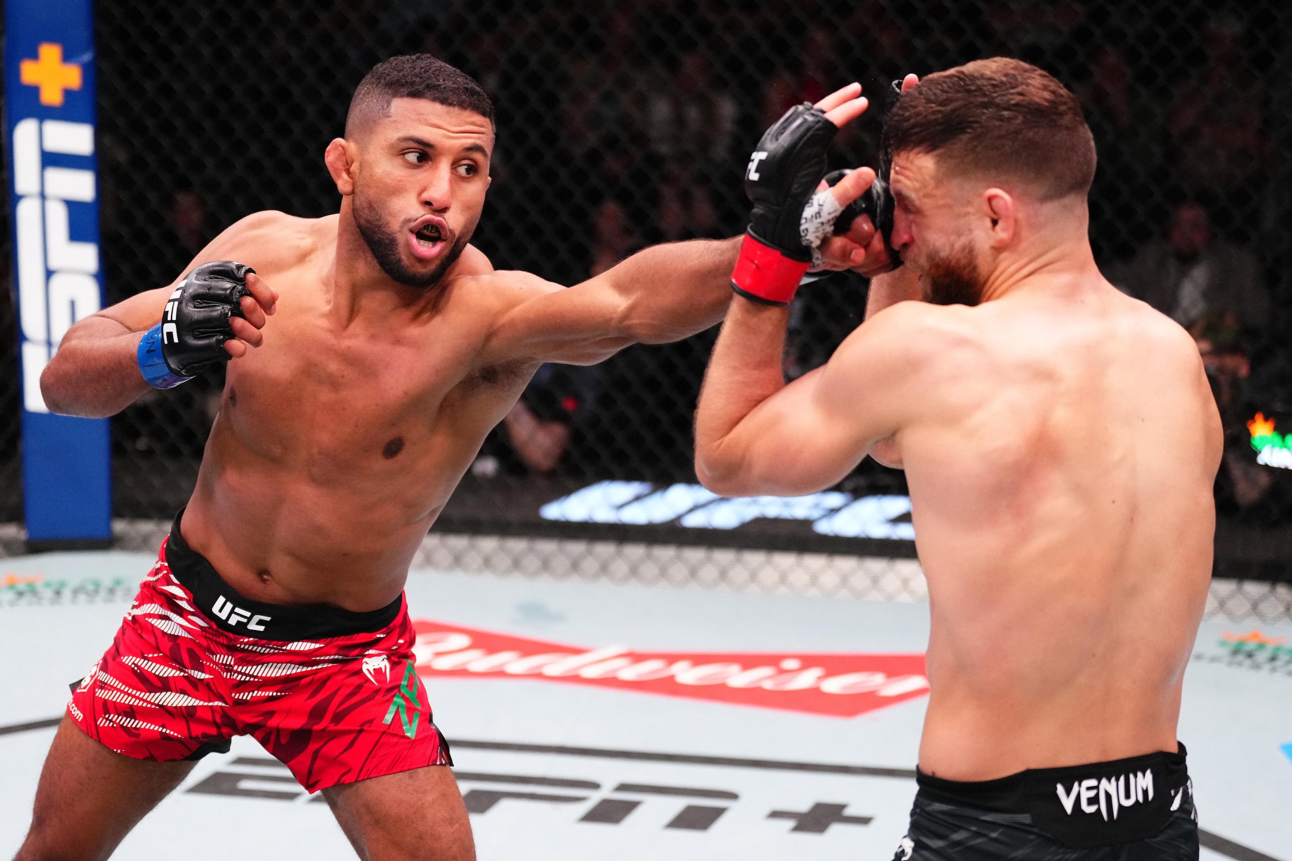 UFC Fight Night: Kattar v Zalal UFC Fight Night: Kattar v Zalal