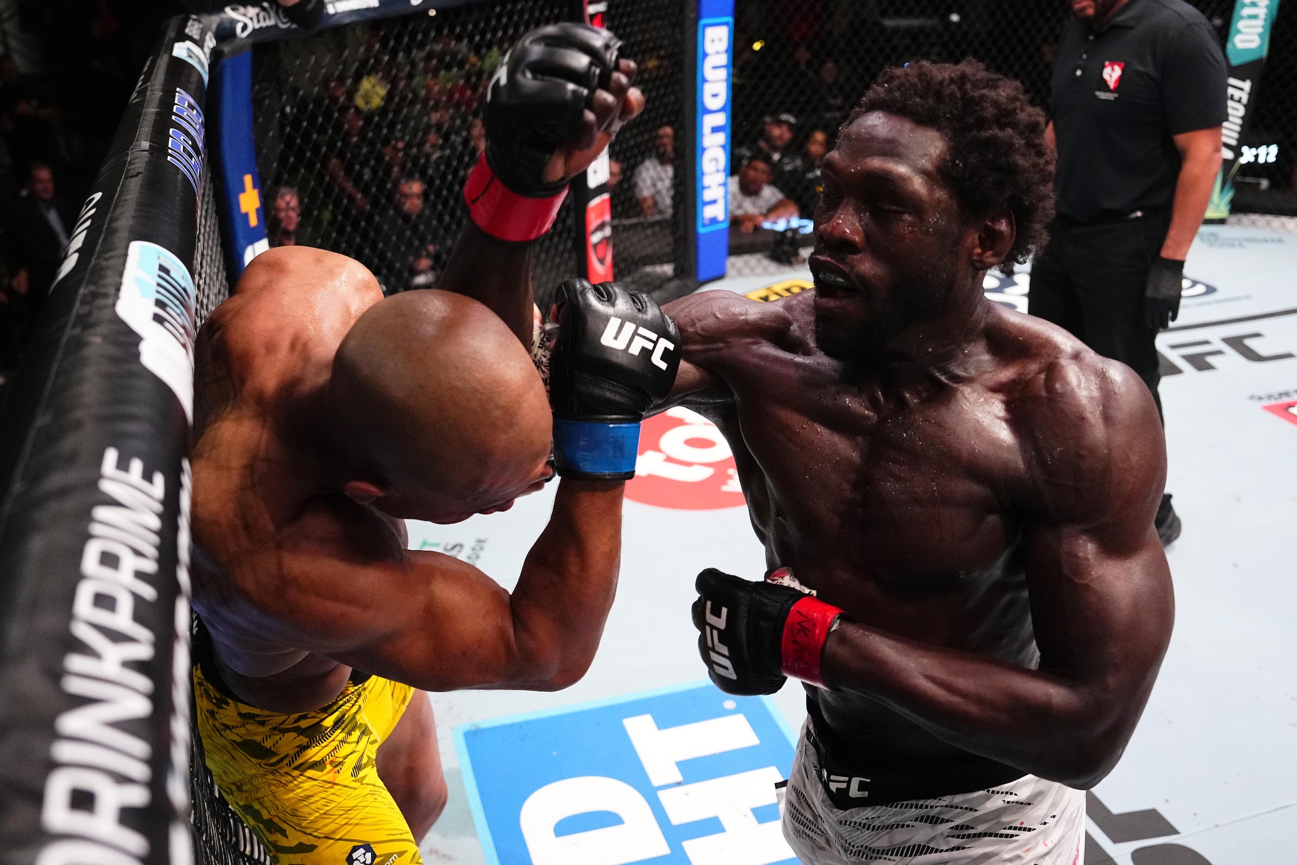 UFC Fight Night: Cannonier v Rodrigues UFC Fight Night: Cannonier v Rodrigues