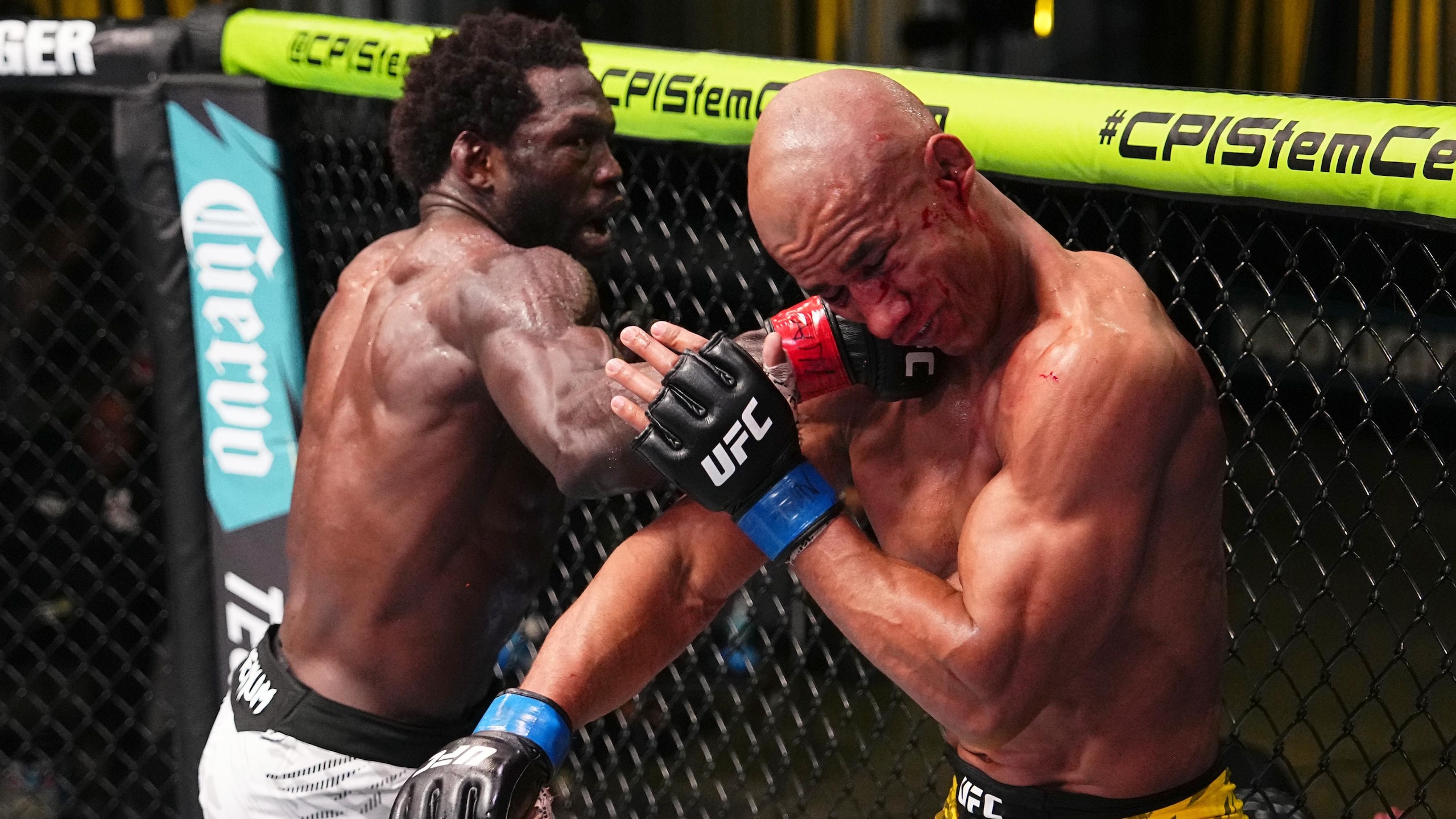 UFC Fight Night: Cannonier v Rodrigues UFC Fight Night: Cannonier v Rodrigues