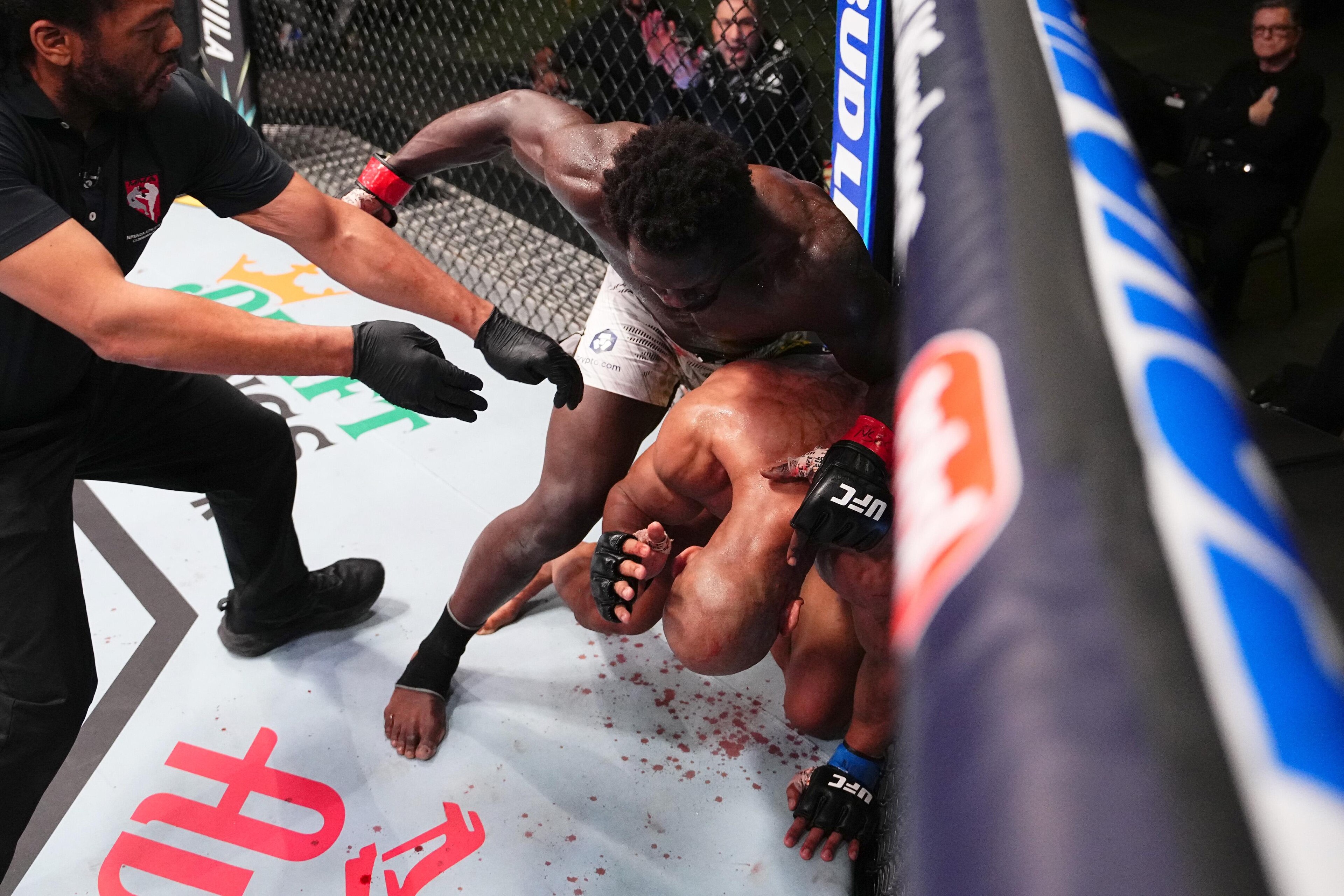 UFC Fight Night: Cannonier v Rodrigues UFC Fight Night: Cannonier v Rodrigues