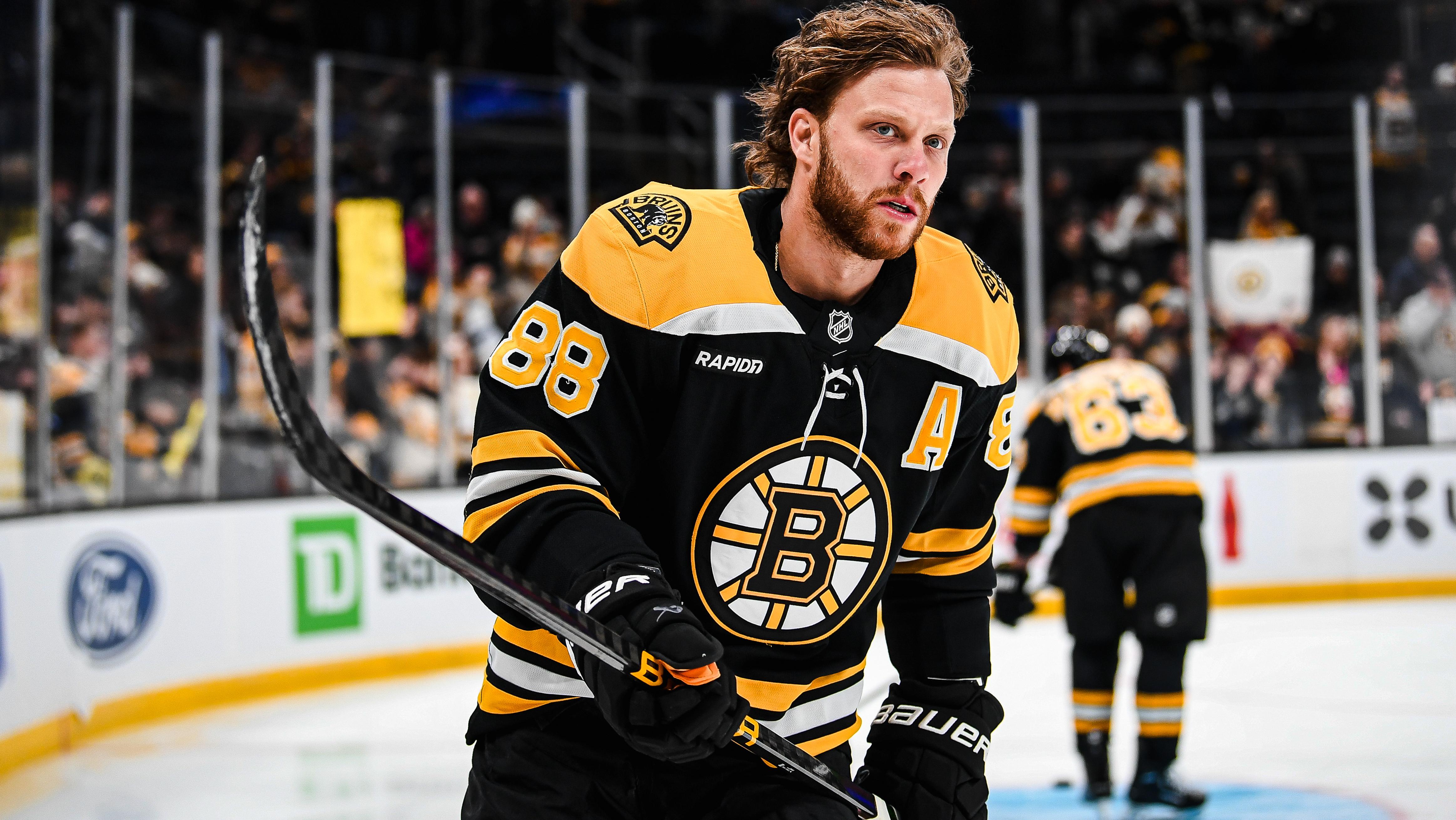 Anaheim Ducks v Boston Bruins