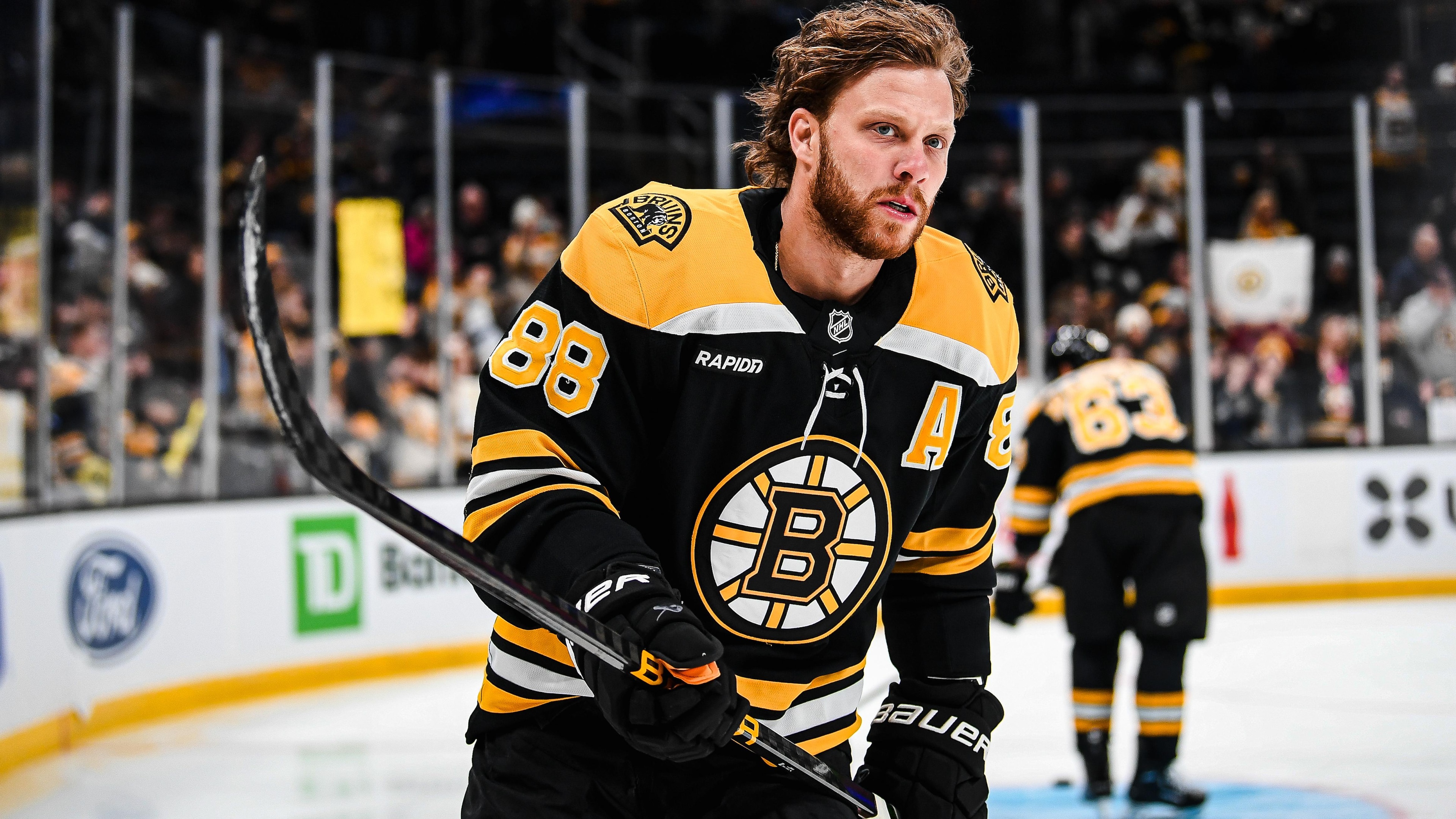 Anaheim Ducks v Boston Bruins