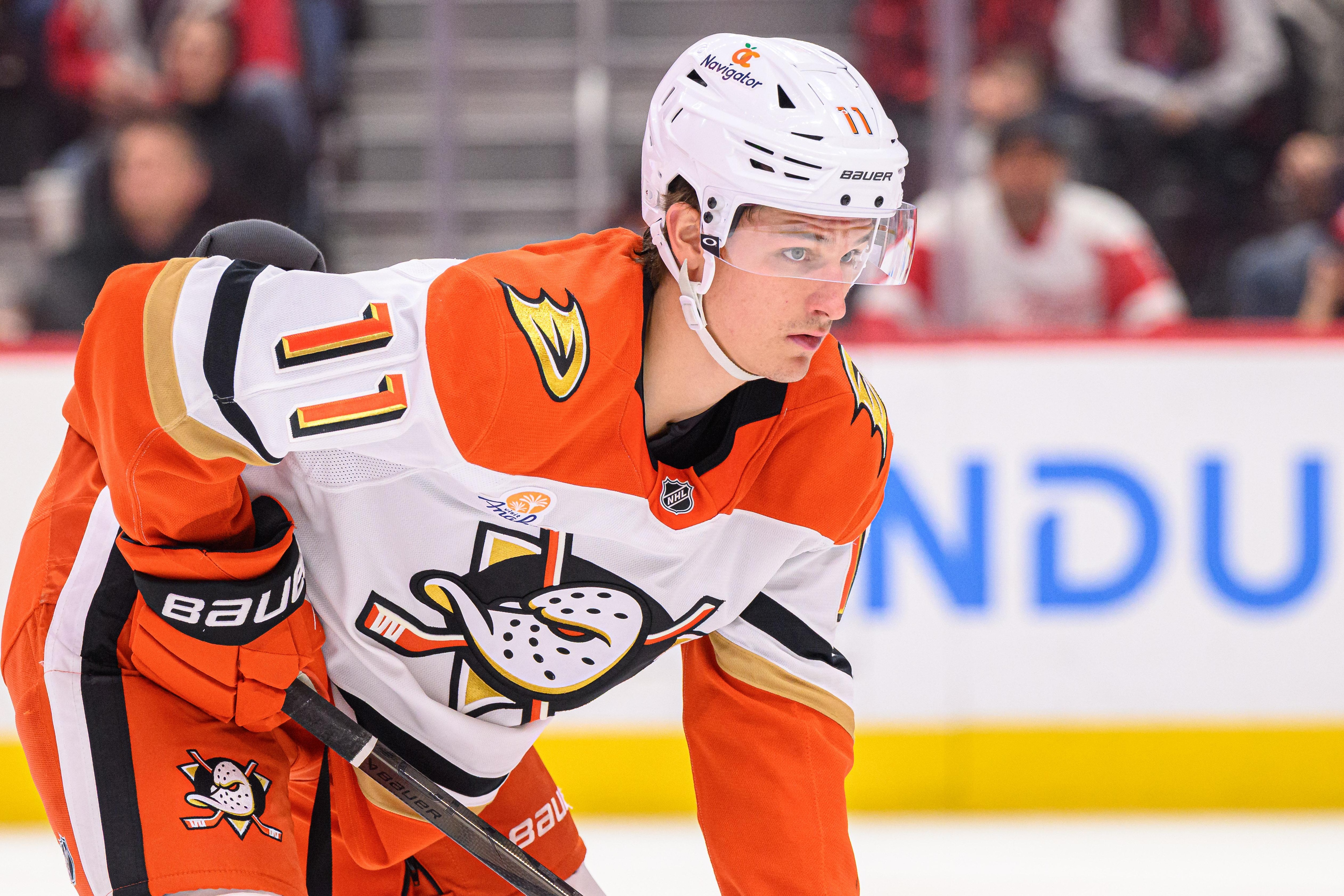 NHL: FEB 23 Ducks at Red Wings