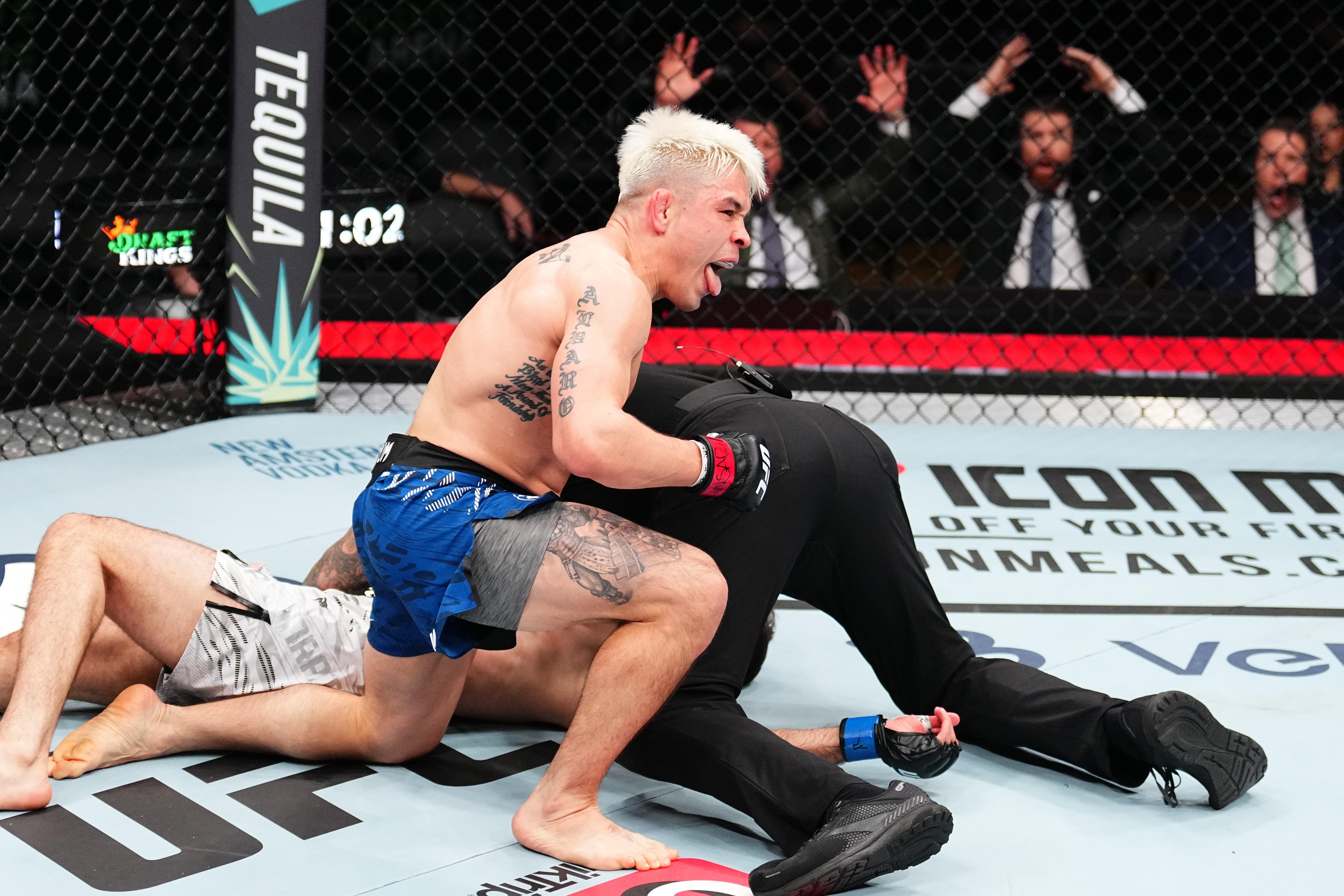 UFC Fight Night: Simon v Basharat