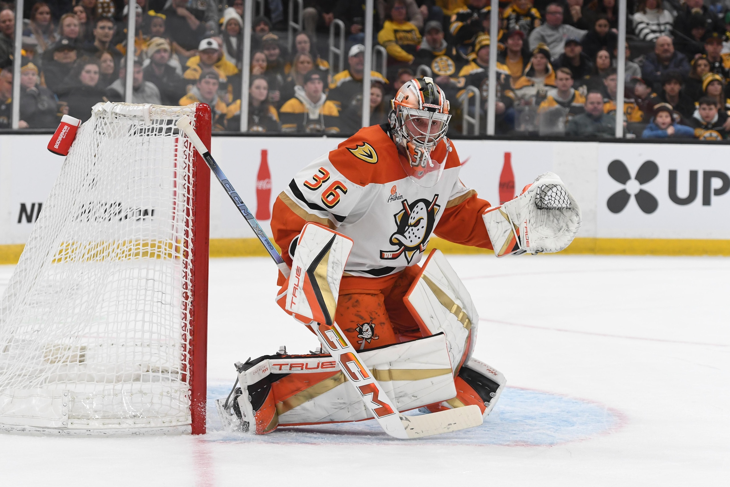 Anaheim Ducks v Boston Bruins