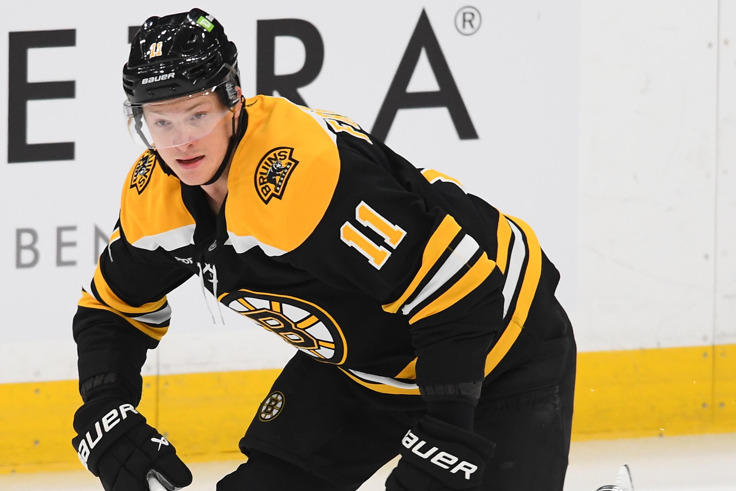 Anaheim Ducks v Boston Bruins Anaheim Ducks v Boston Bruins