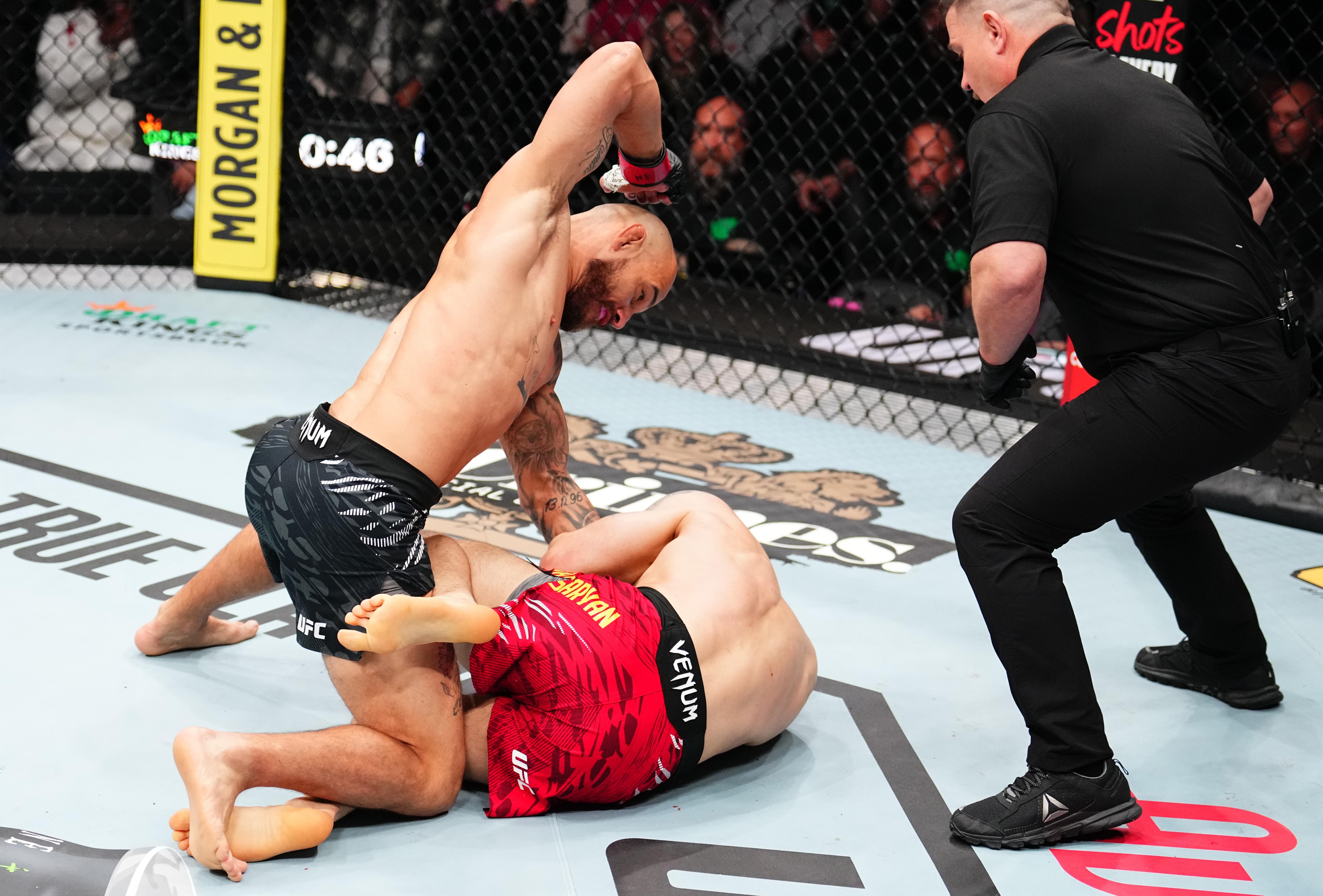 UFC Fight Night: Silva v Baghdasaryan