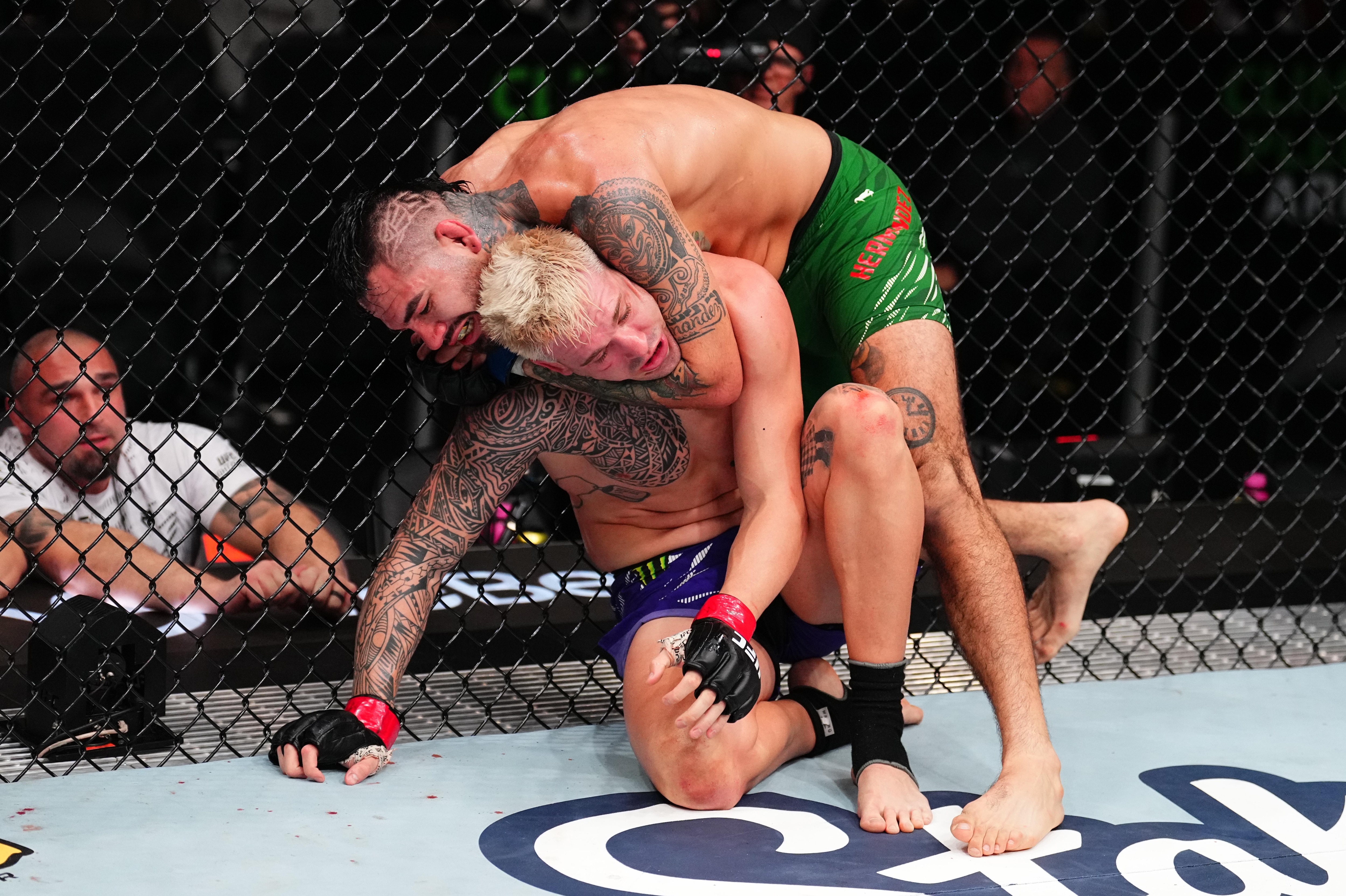 UFC Fight Night: Allen v Hernandez