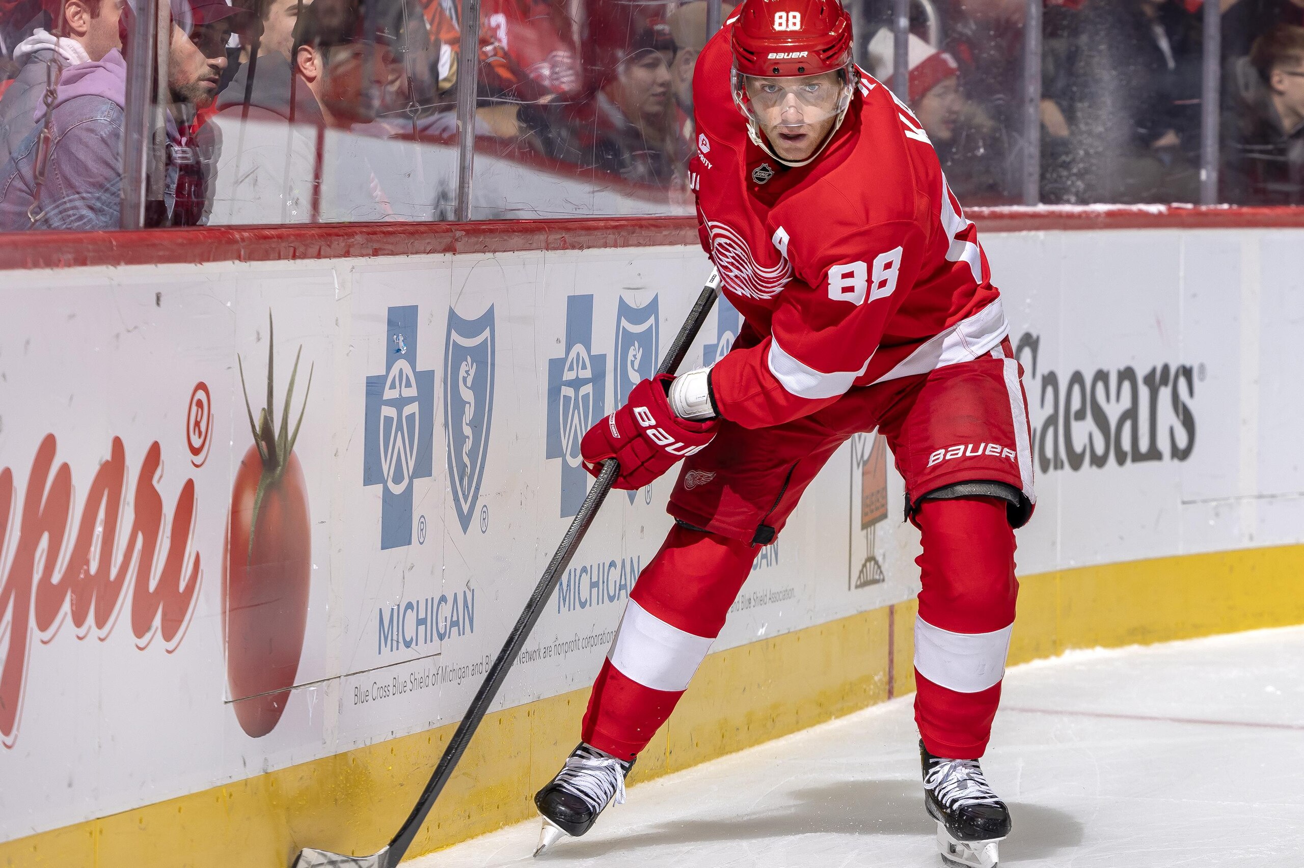Anaheim Ducks v Detroit Red Wings Anaheim Ducks v Detroit Red Wings