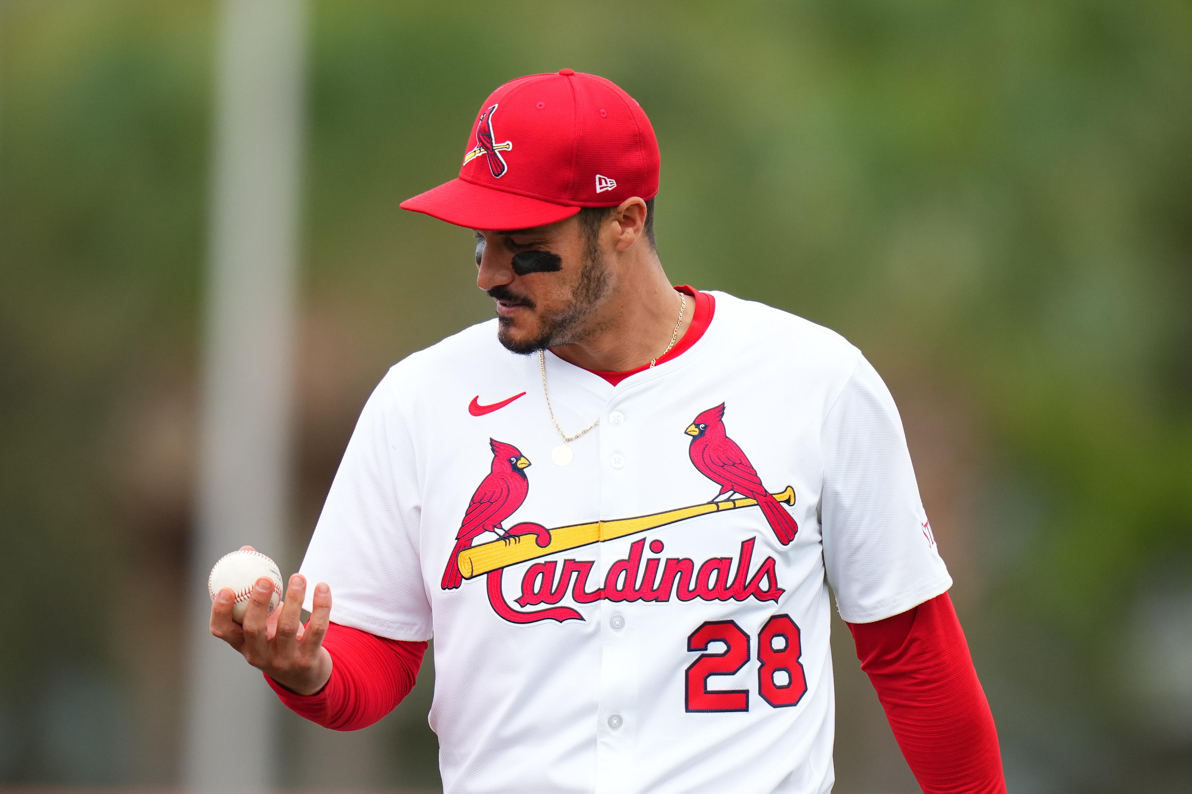 New York Mets v St. Louis Cardinals