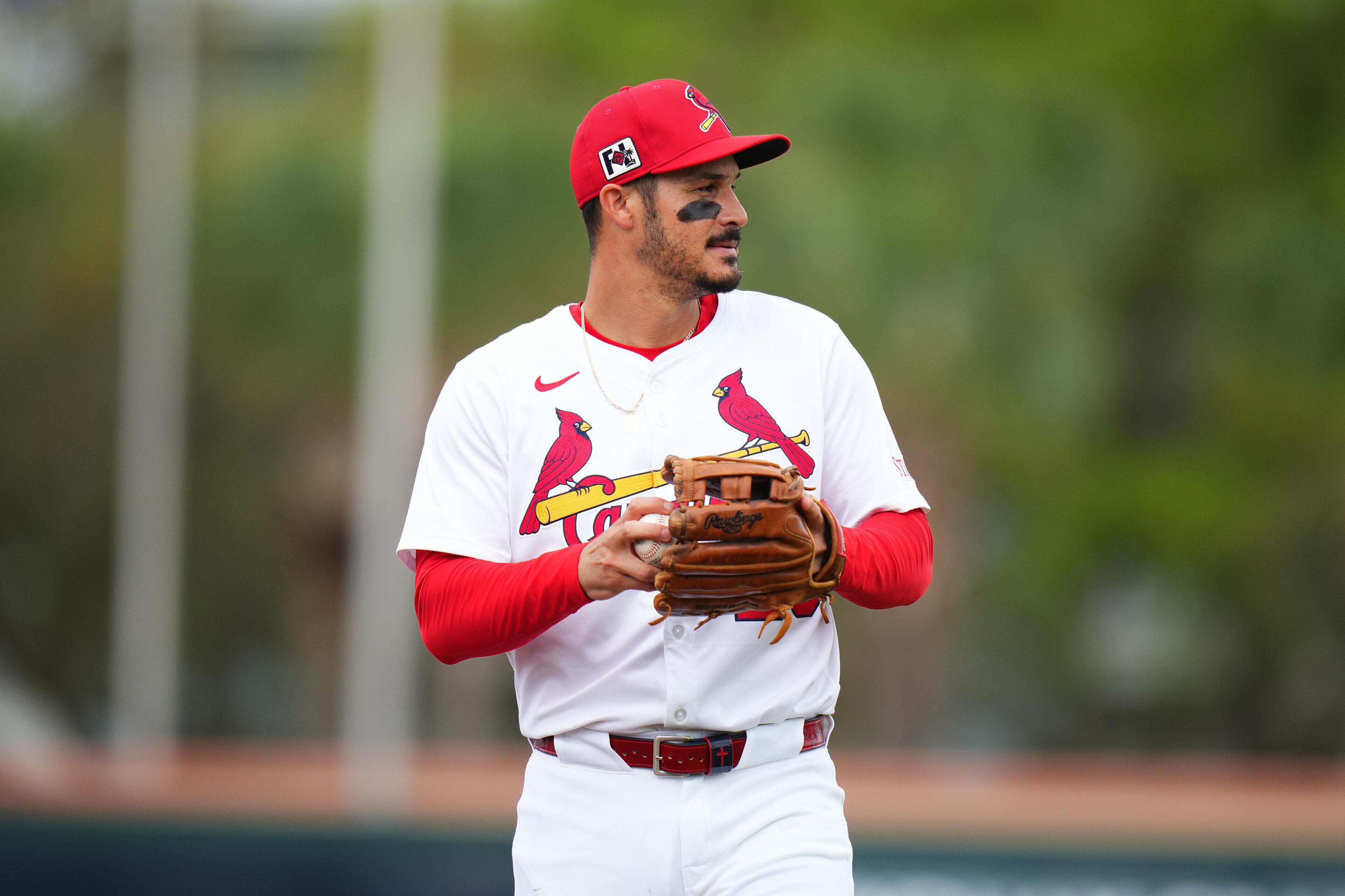 New York Mets v St. Louis Cardinals New York Mets v St. Louis Cardinals