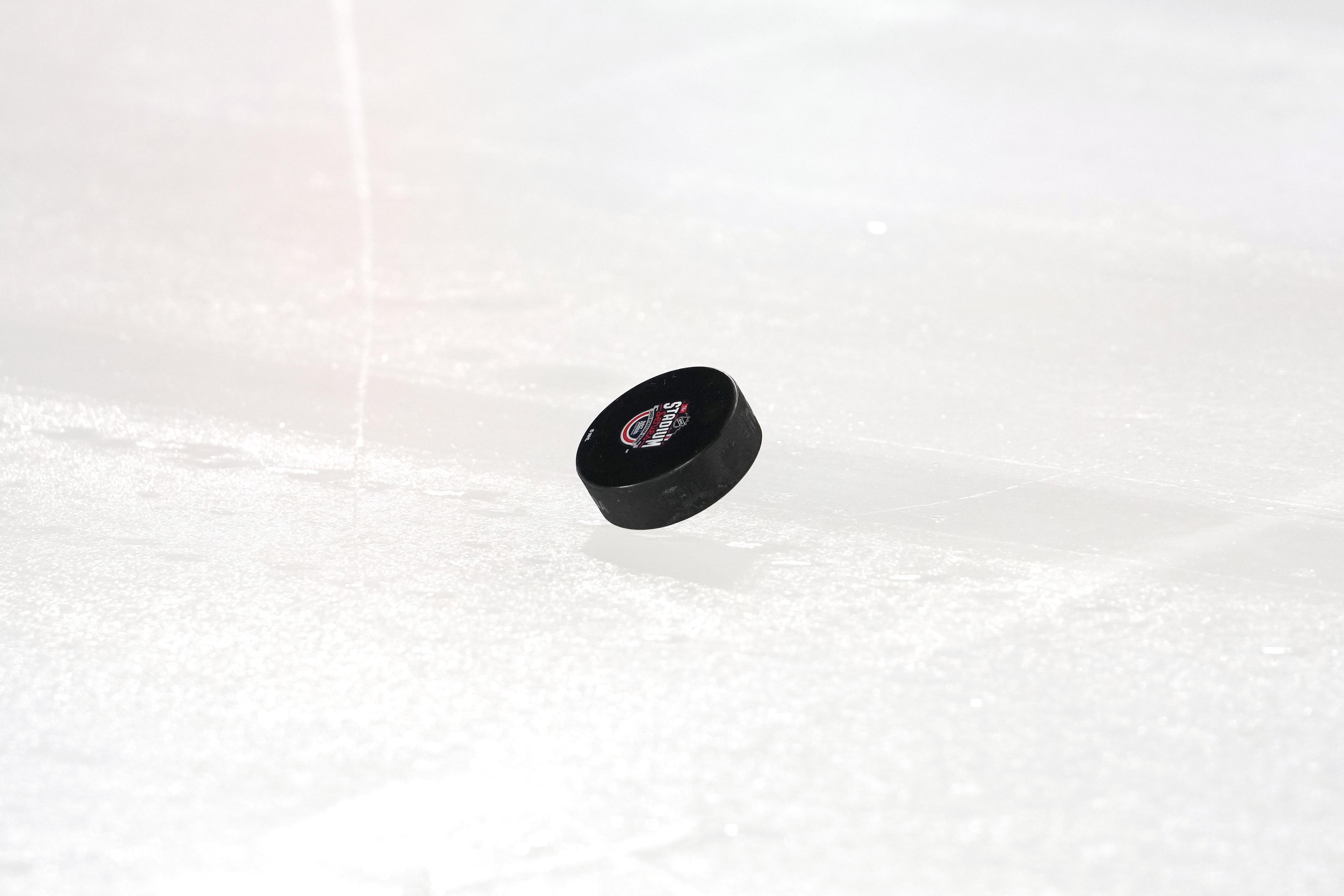 Atlanta-Area Forsyth County Approves $3B Development, Includes NHL-Ready Arena