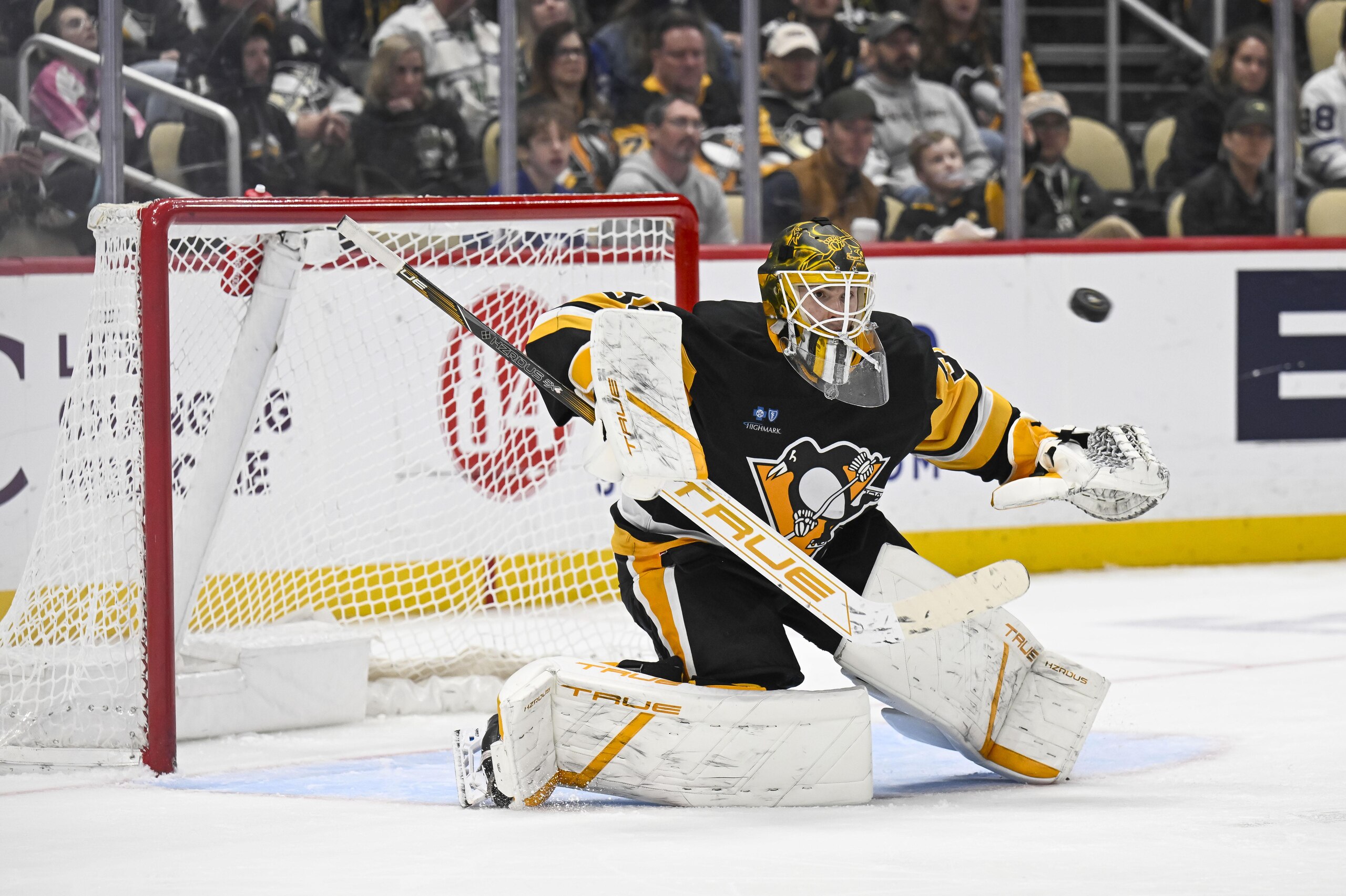 NHL: MAR 02 Maple Leafs at Penguins