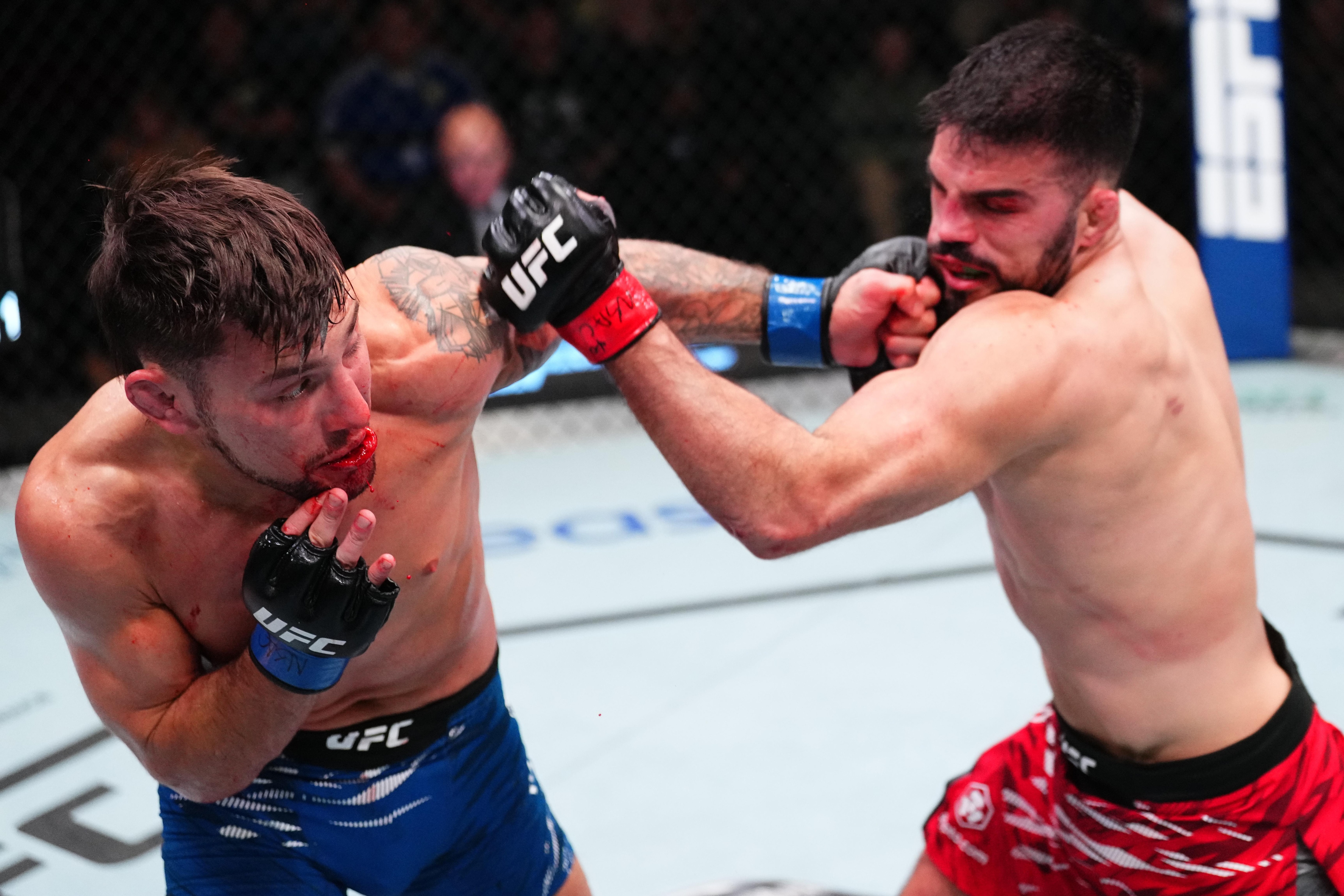 UFC Fight Night: Haqparast v Ribovics