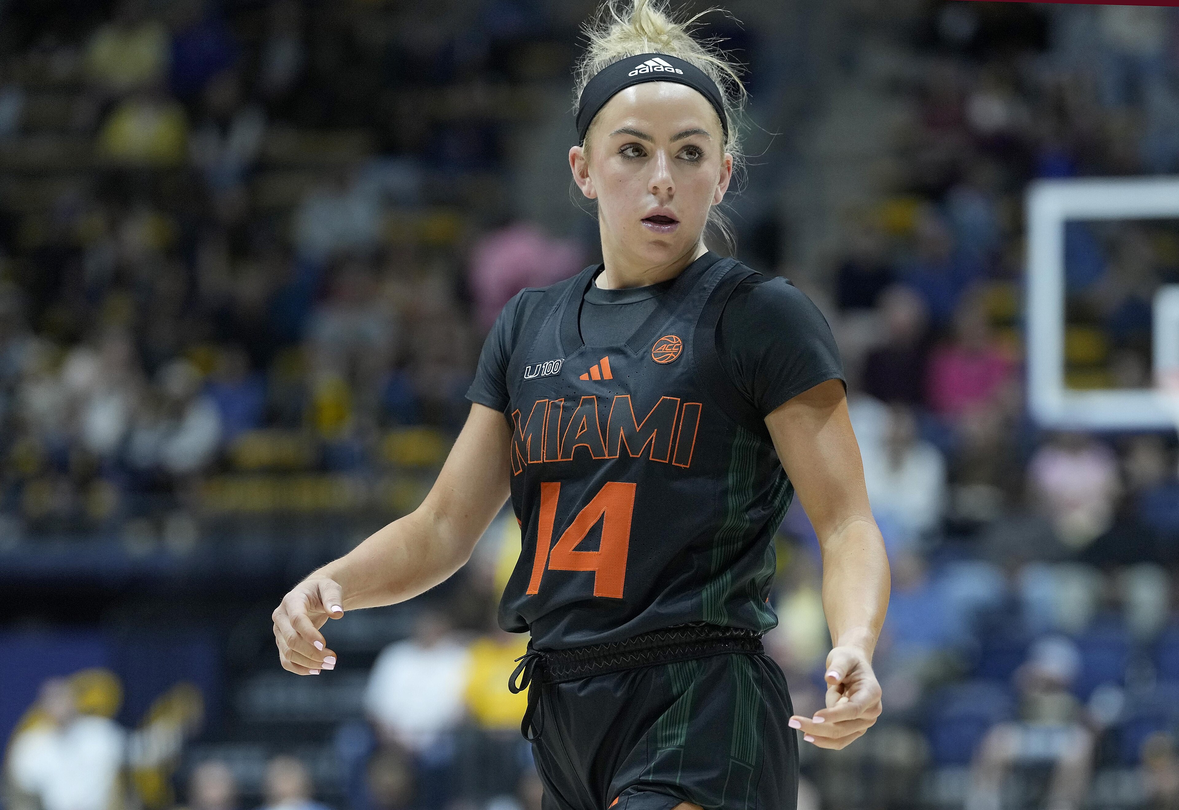 Miami v California Miami v California