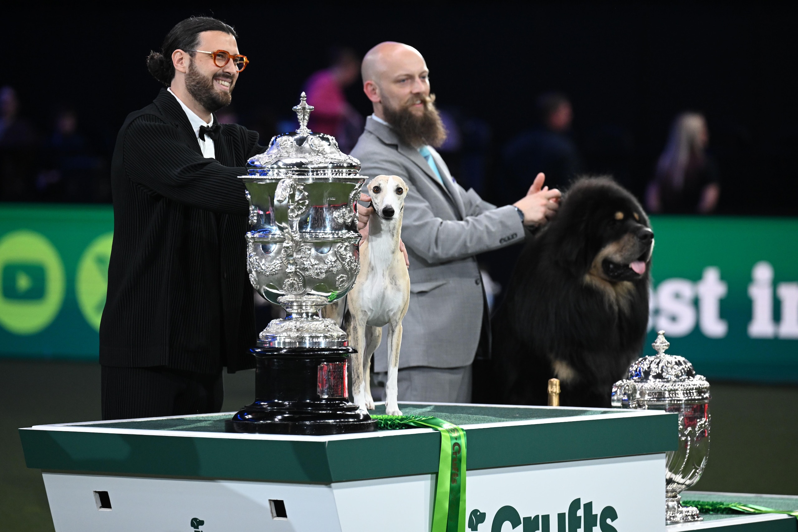 Crufts Dog Show 2025 - Best In Show Crufts Dog Show 2025 - Best In Show