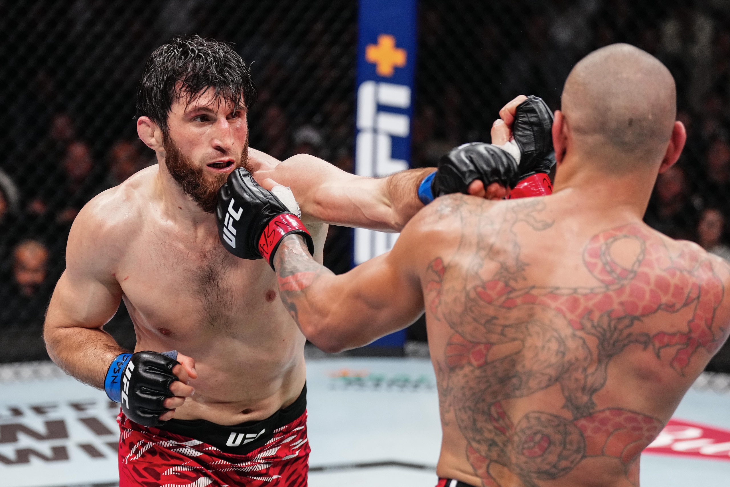UFC 313: Pereira v Ankalaev UFC 313: Pereira v Ankalaev