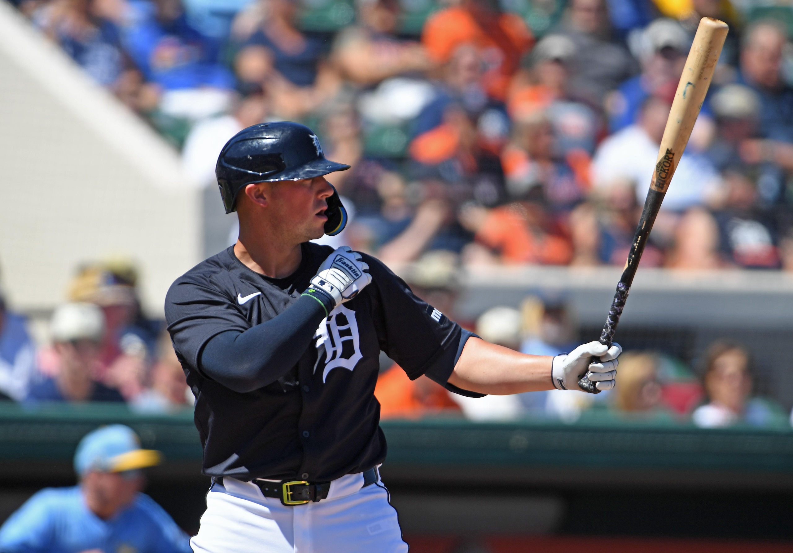 Tampa Bay Rays v Detroit Tigers
