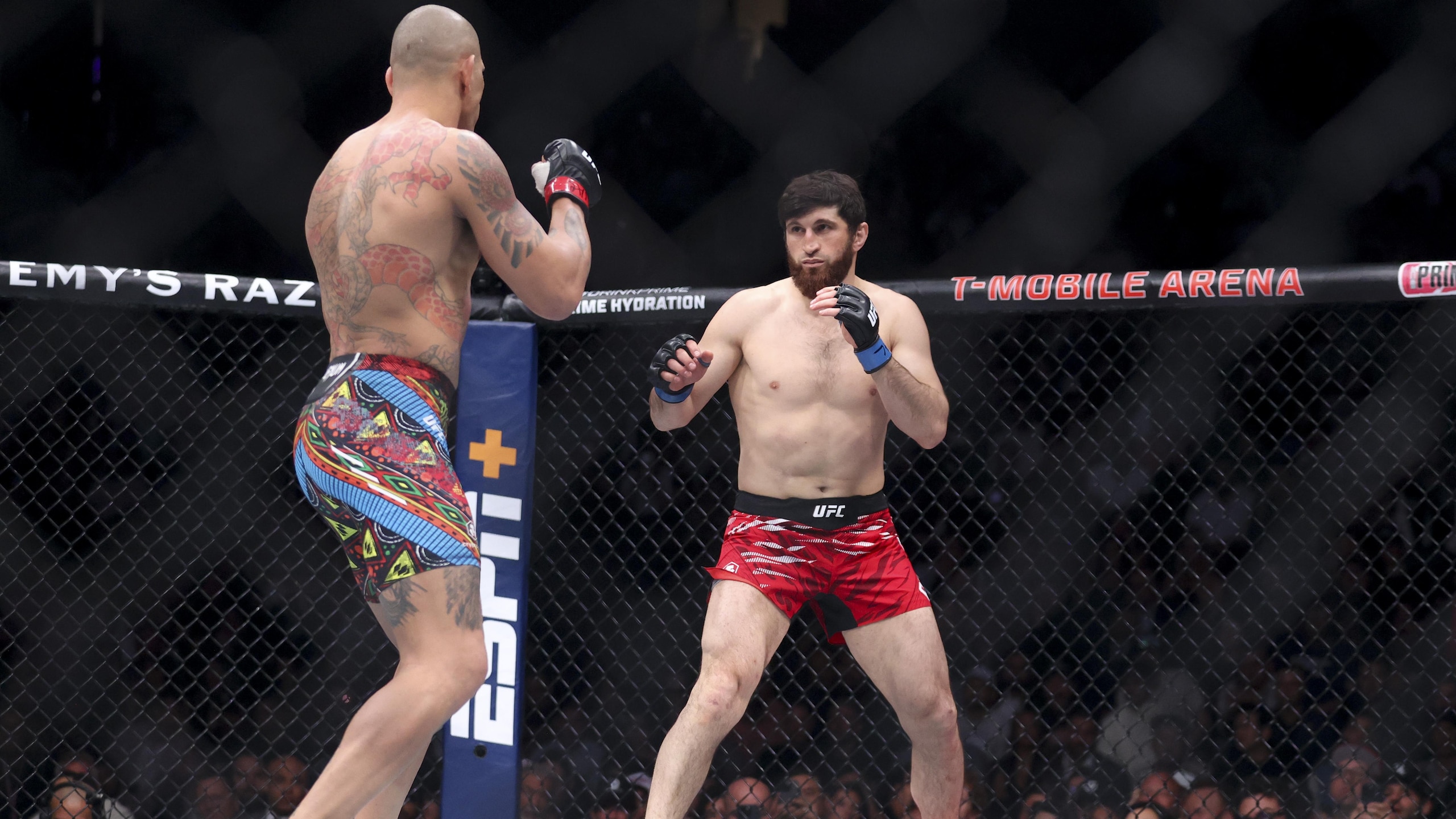 UFC 313: Pereira v Ankalaev