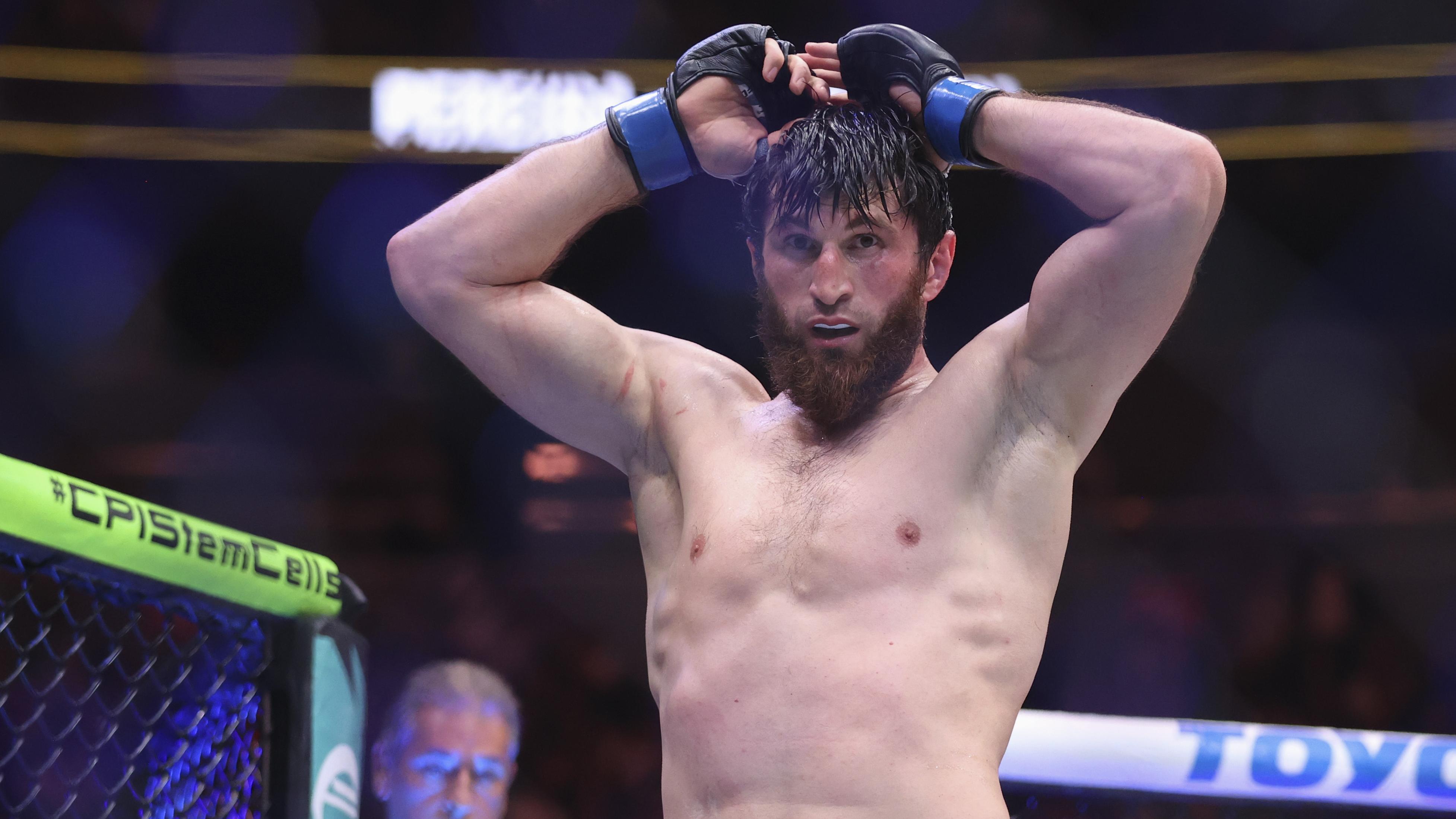 UFC 313: Pereira v Ankalaev