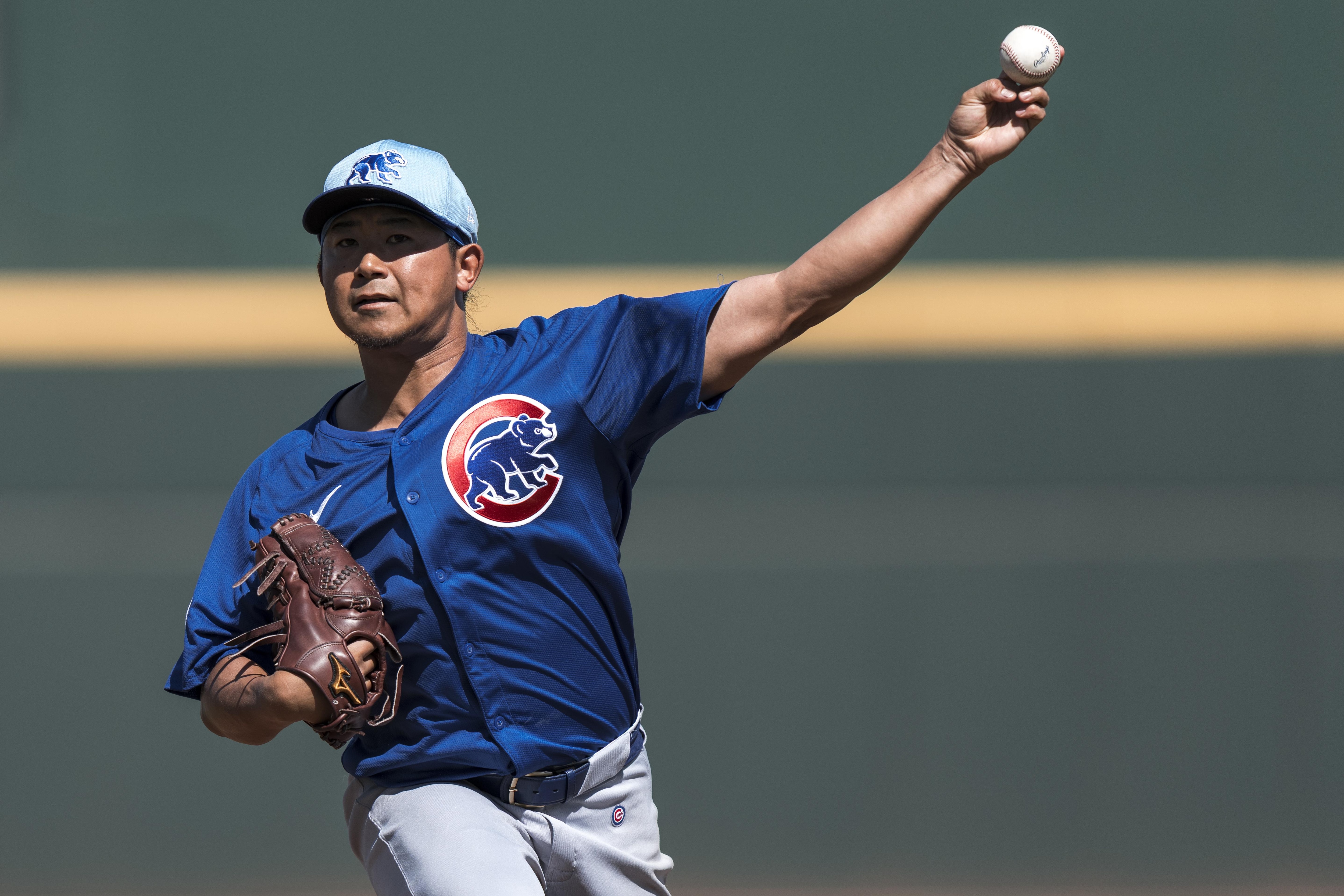 Chicago Cubs Spring Training