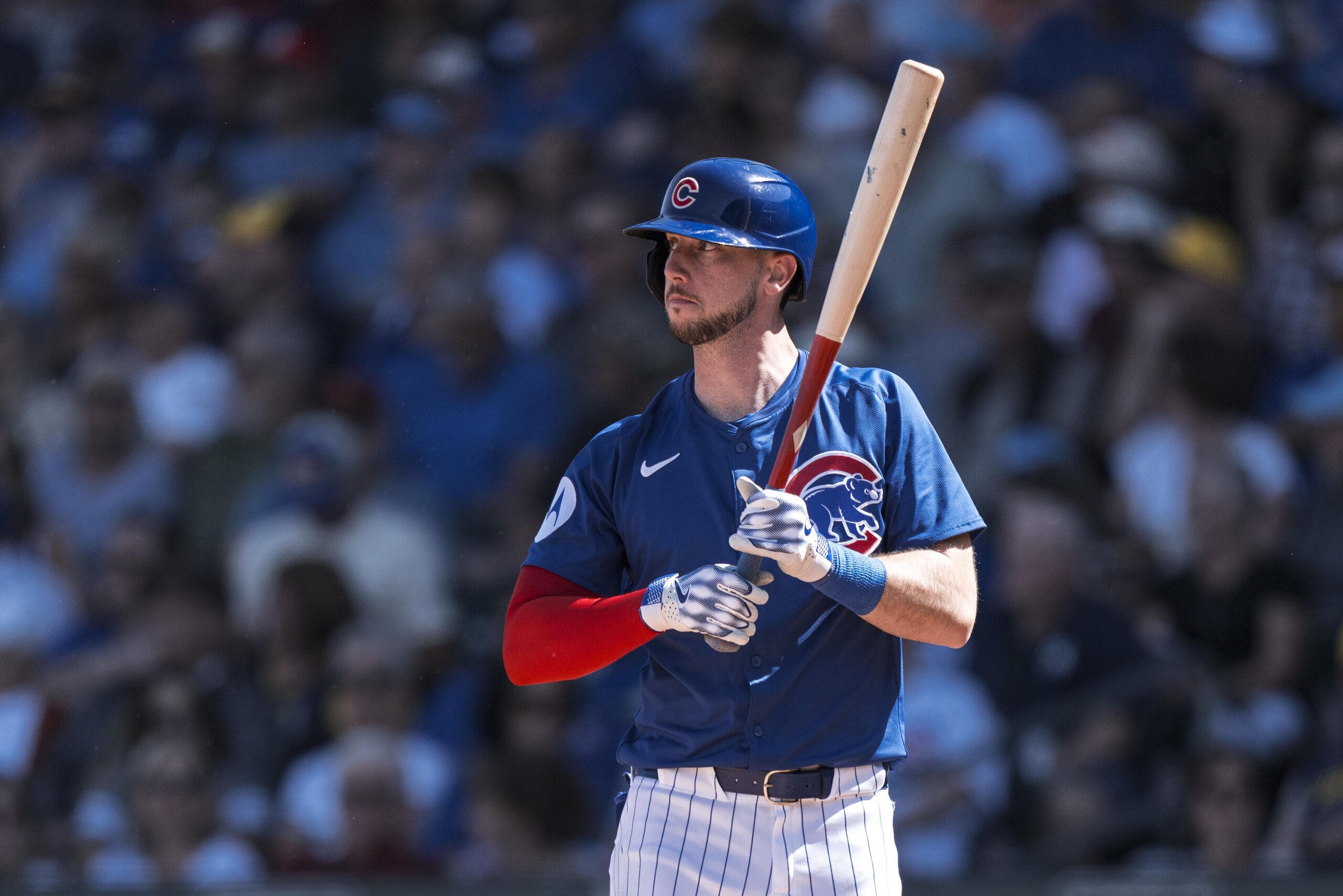 Chicago Cubs Spring Training