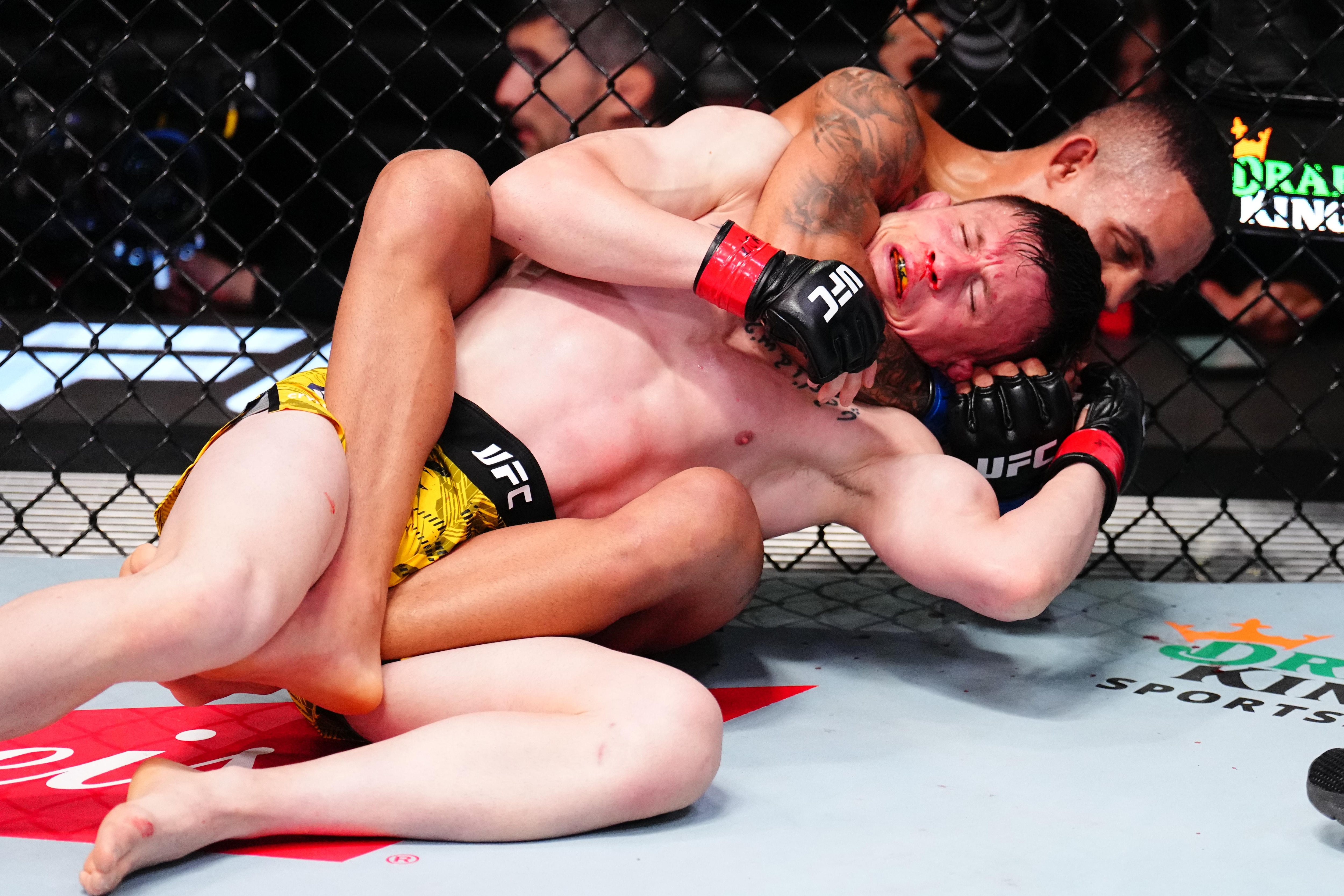 UFC Fight Night: Barez v Lima