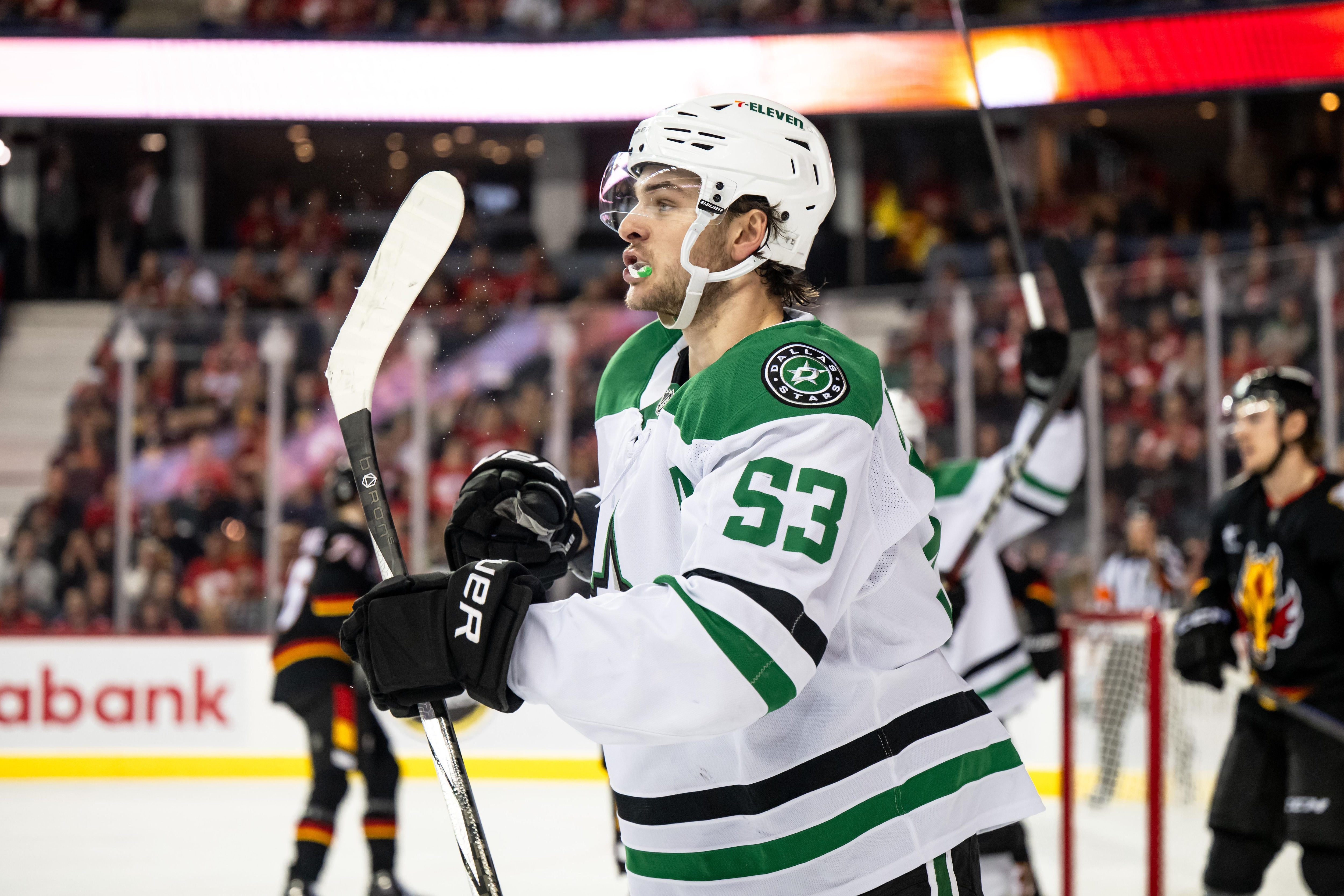 NHL: MAR 27 Stars at Flames NHL: MAR 27 Stars at Flames