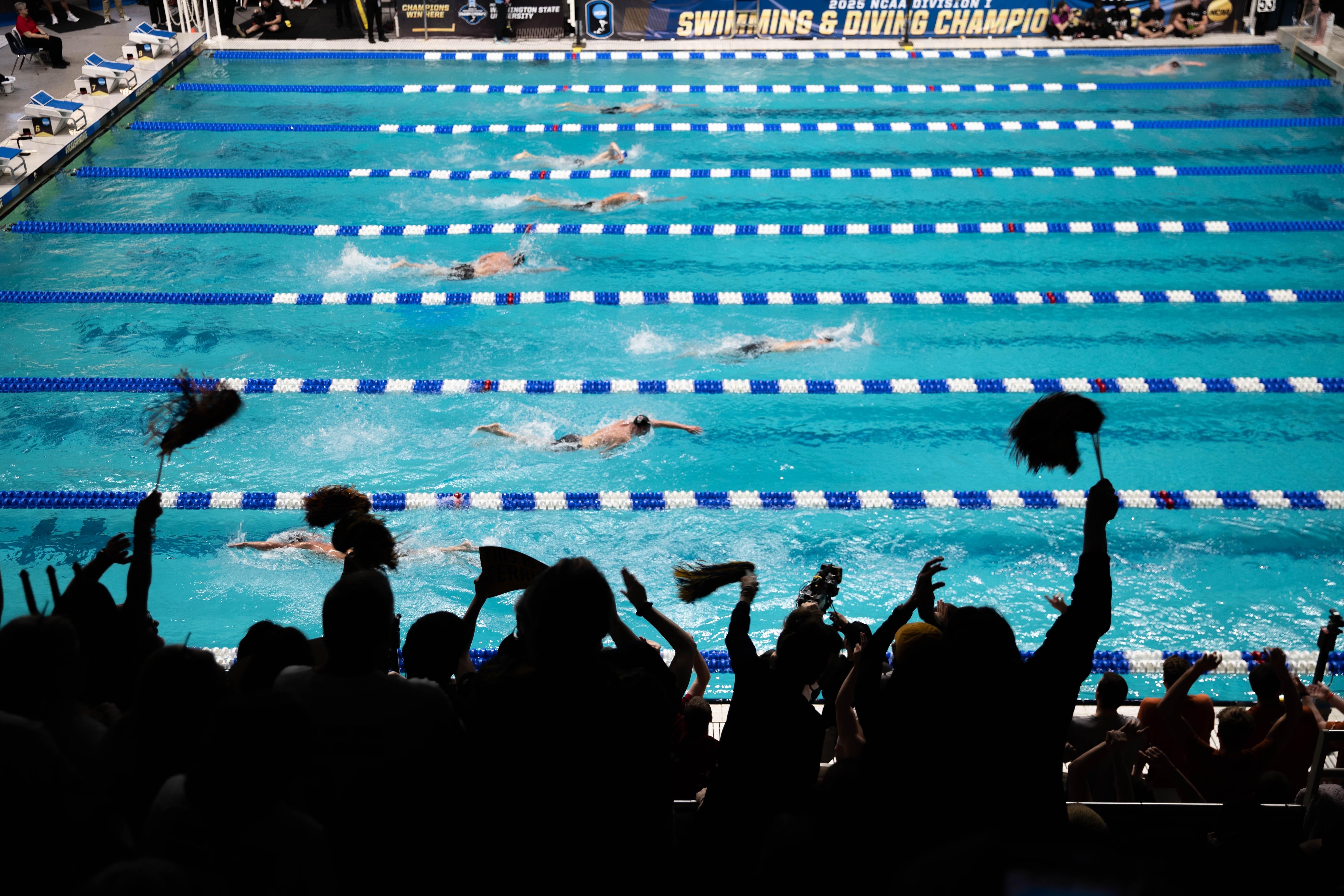 2025 NCAA Division I Men's Swimming and Diving Championships