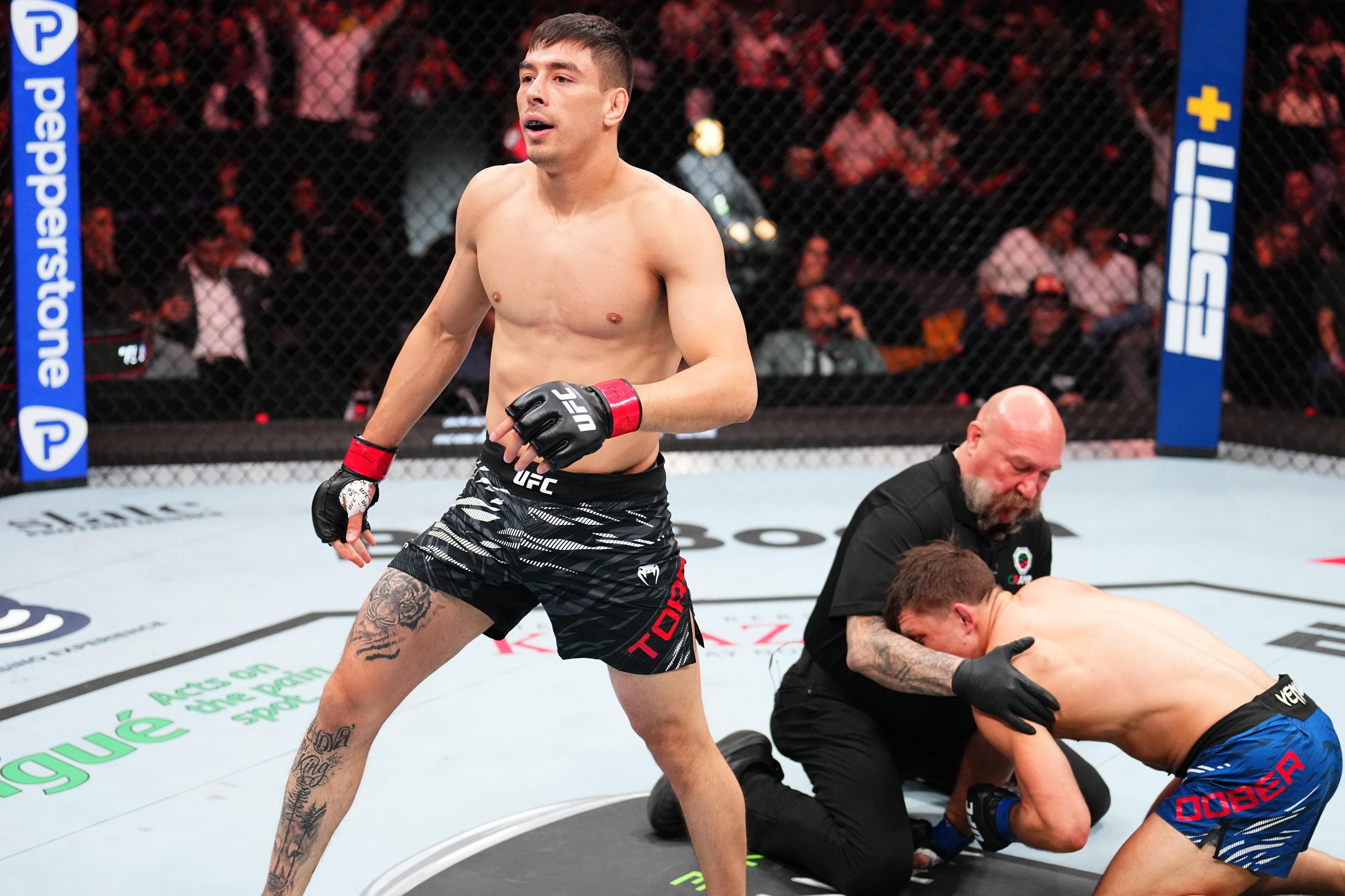 UFC Fight Night: Torres v Dober UFC Fight Night: Torres v Dober