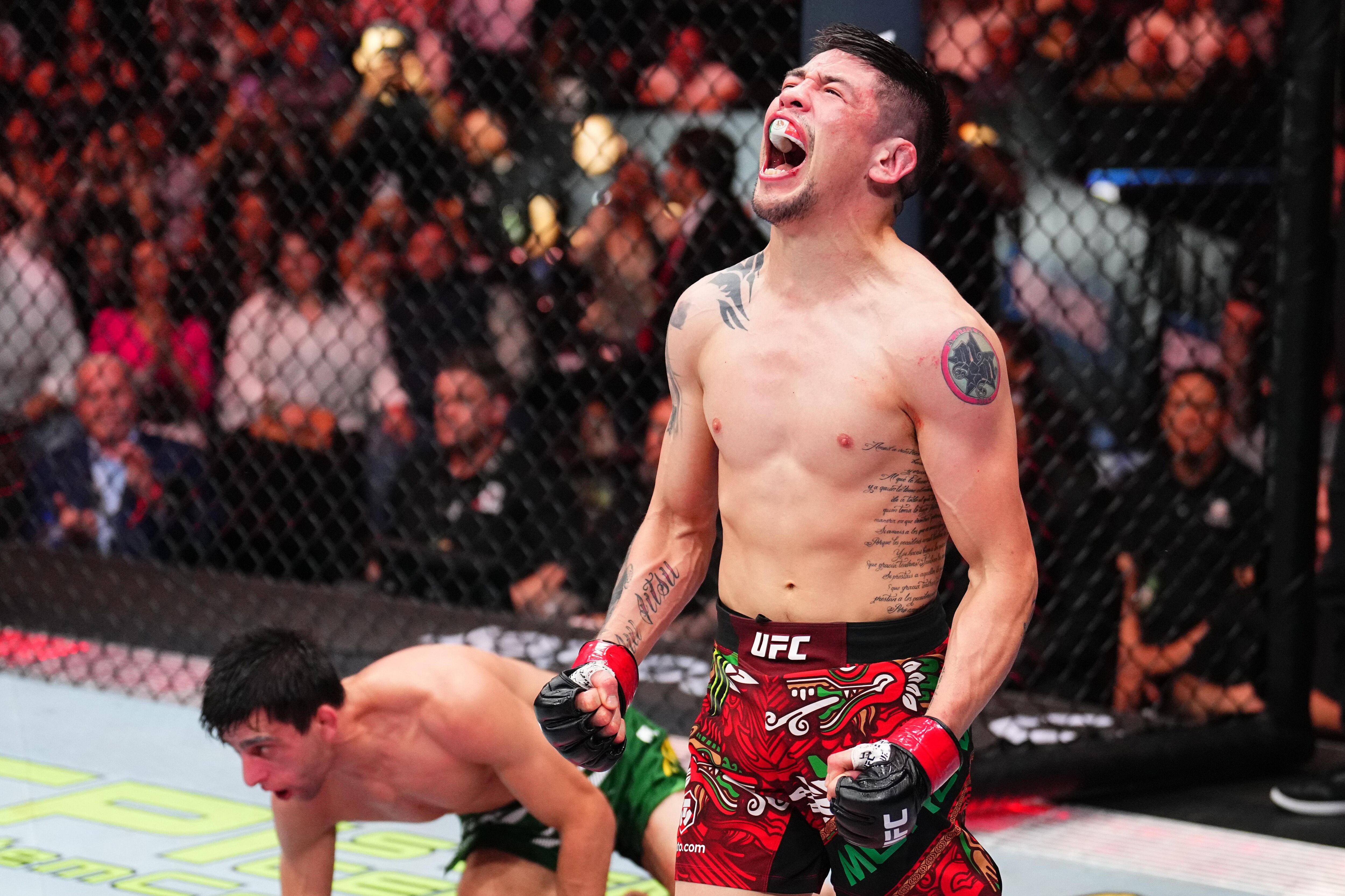 UFC Fight Night: Moreno v Erceg UFC Fight Night: Moreno v Erceg