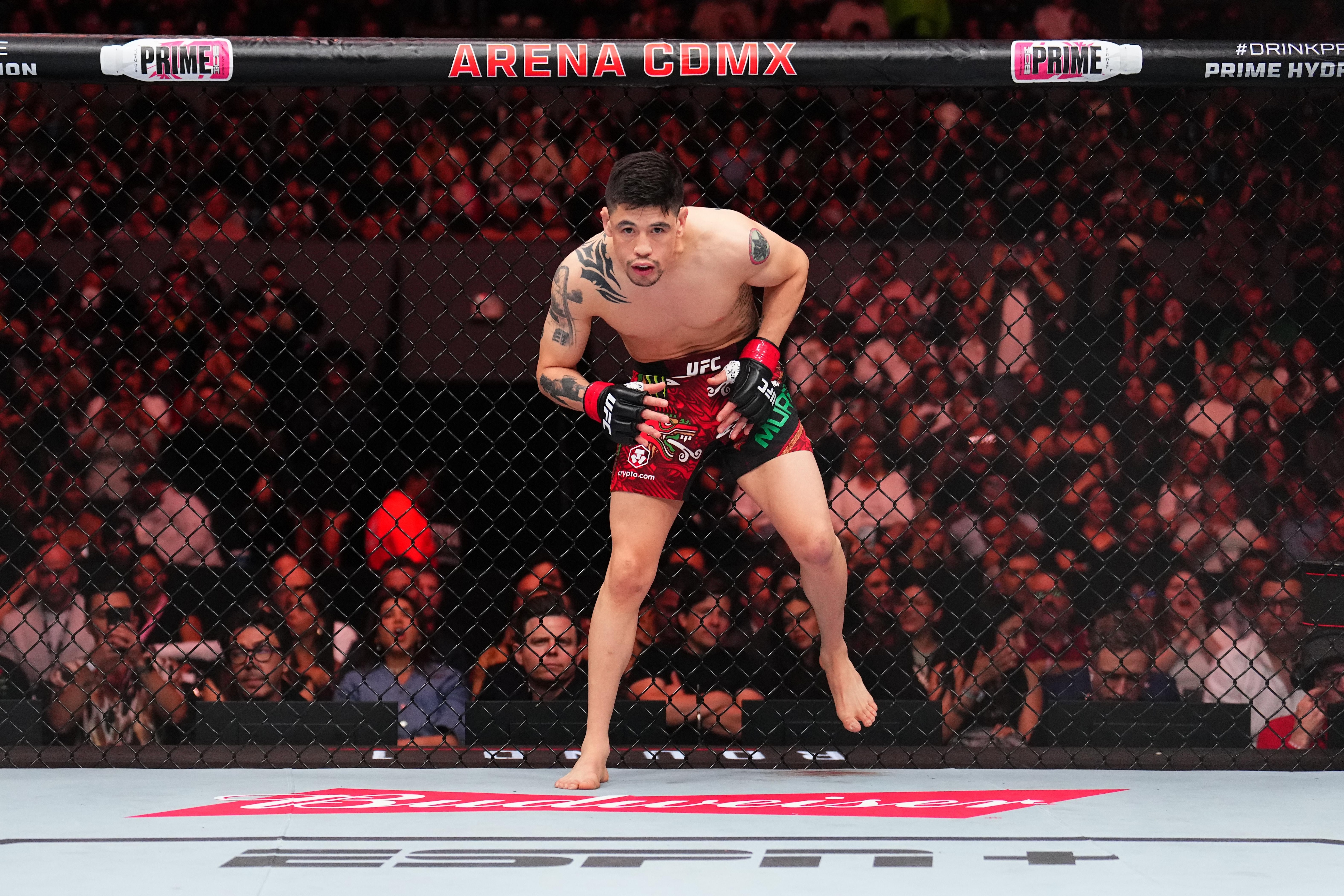 UFC Fight Night: Moreno v Erceg UFC Fight Night: Moreno v Erceg