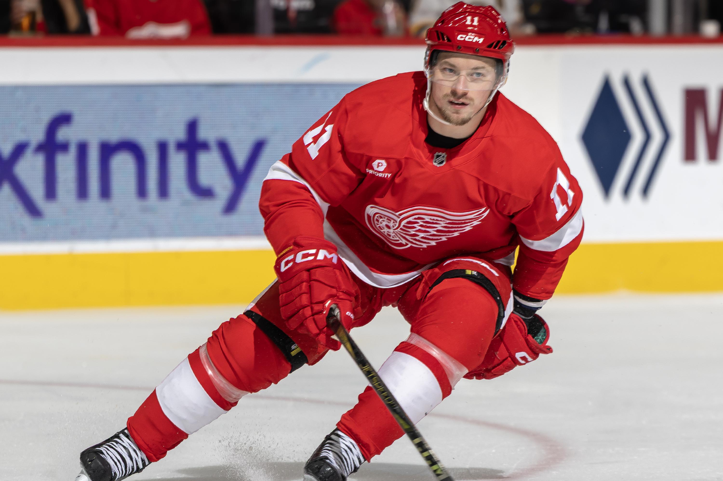 Boston Bruins v Detroit Red Wings