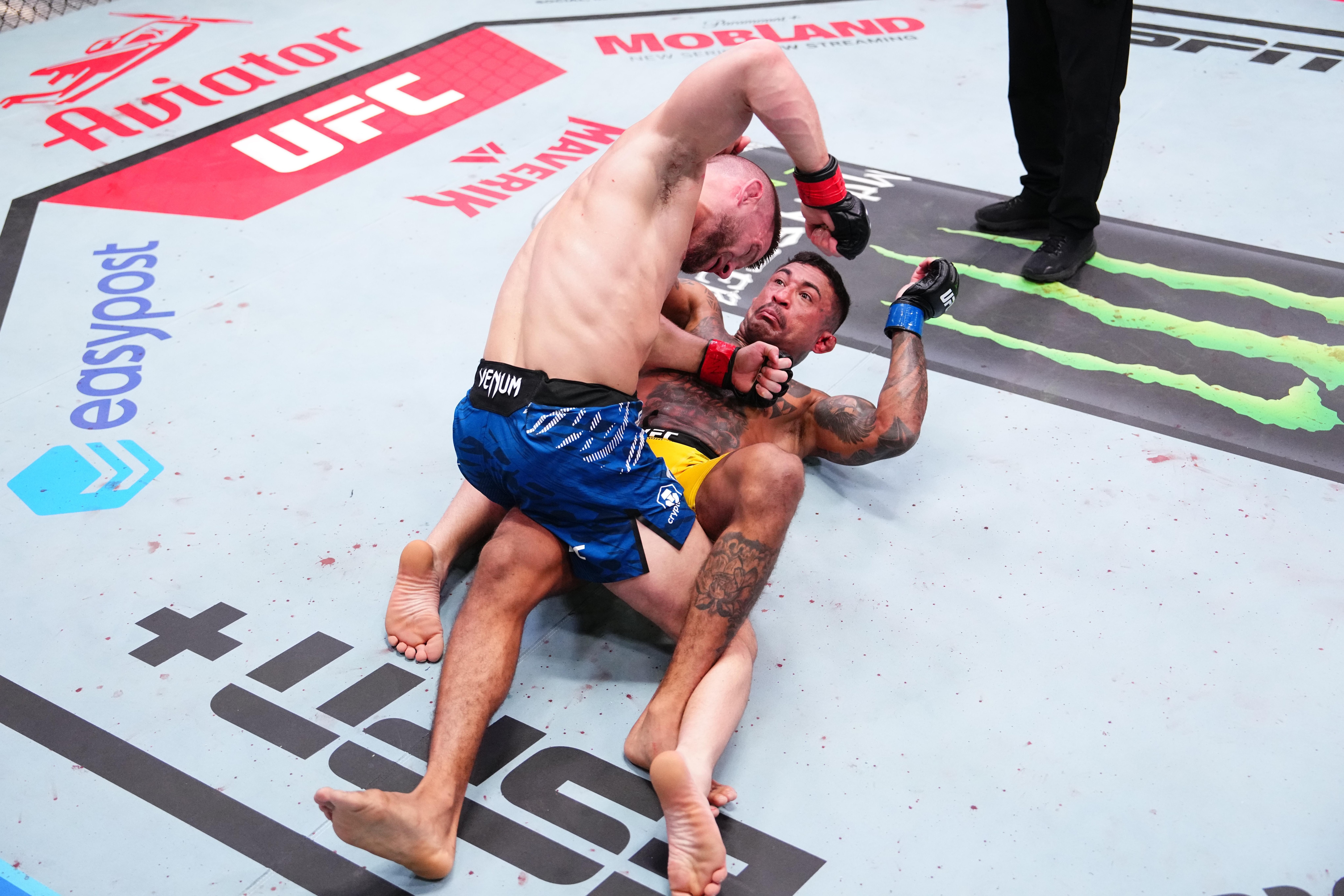 UFC Fight Night: Sabatini v Brito