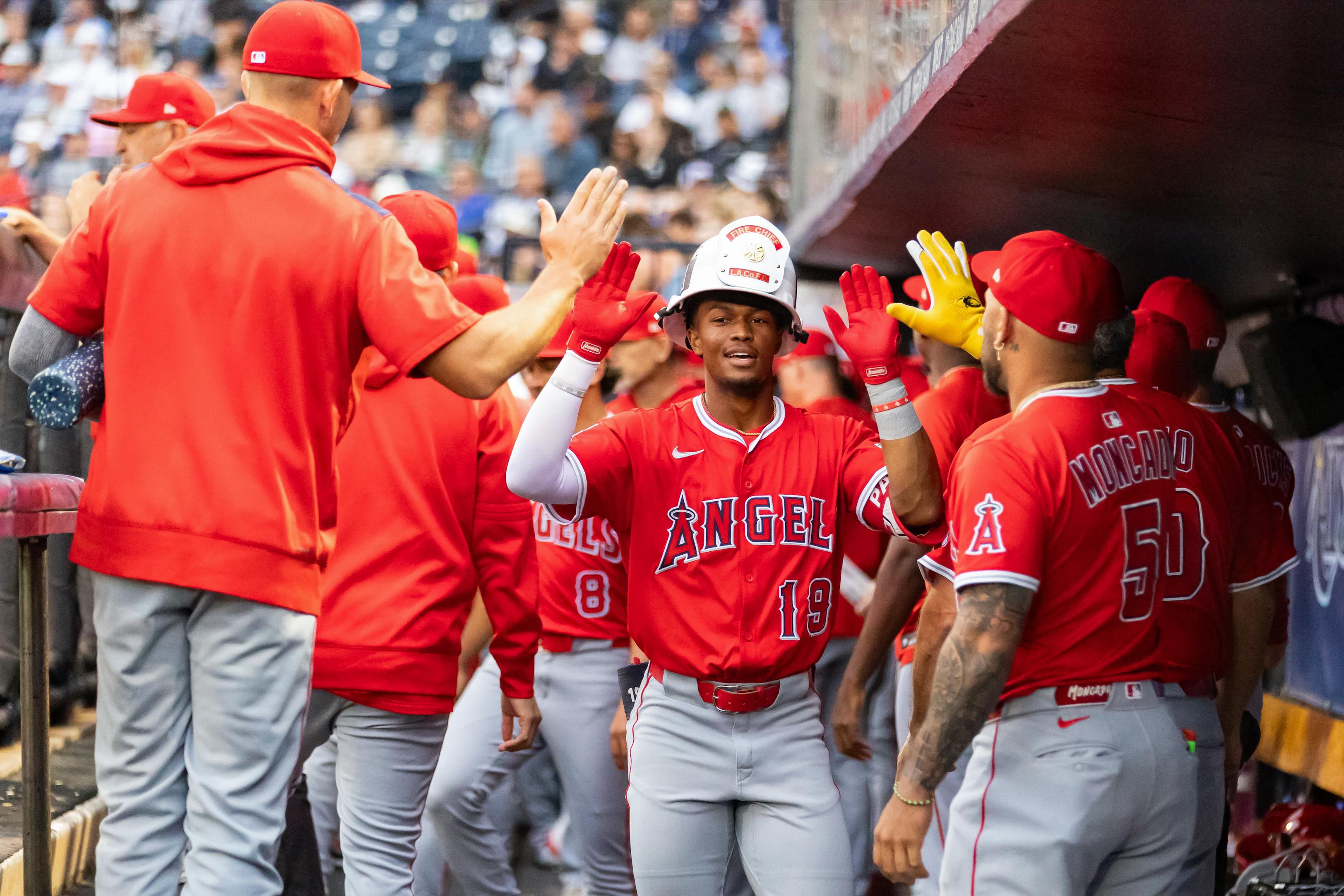 Los Angeles Angels v. Tampa Bay Rays