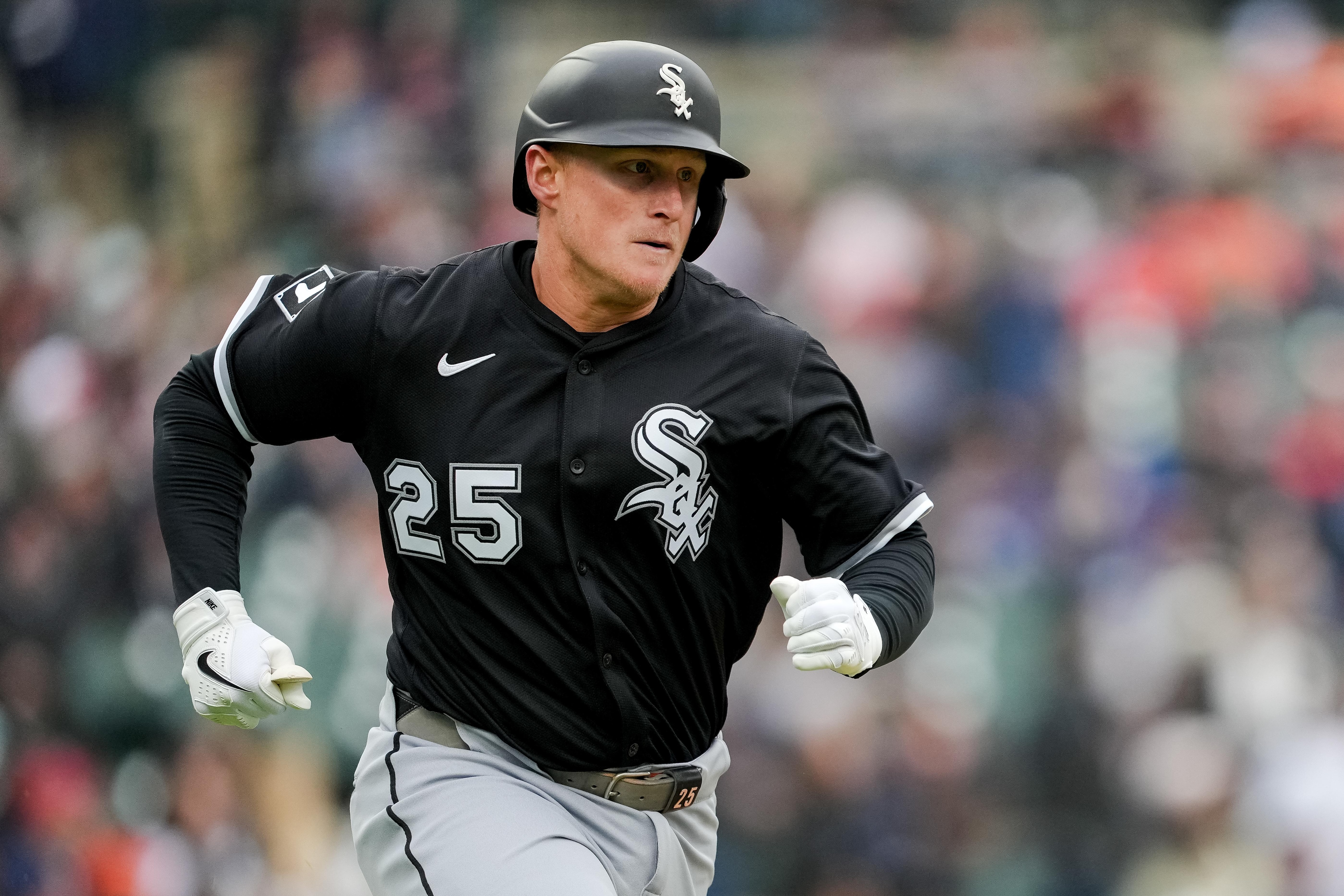 Chicago White Sox v Detroit Tigers