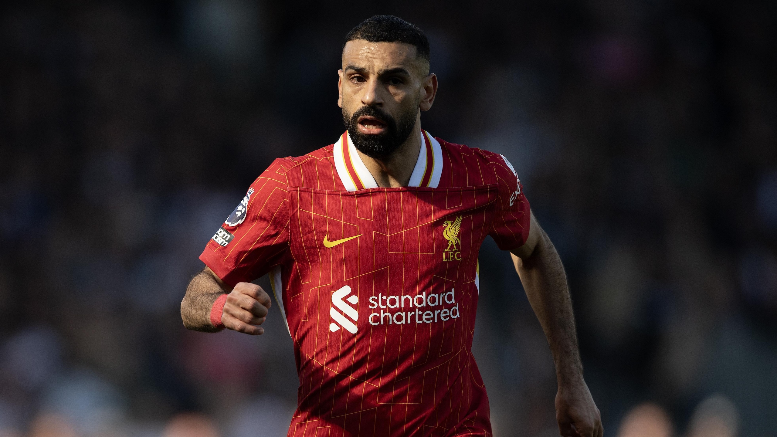 Fulham FC v Liverpool FC - Premier League Fulham FC v Liverpool FC - Premier League