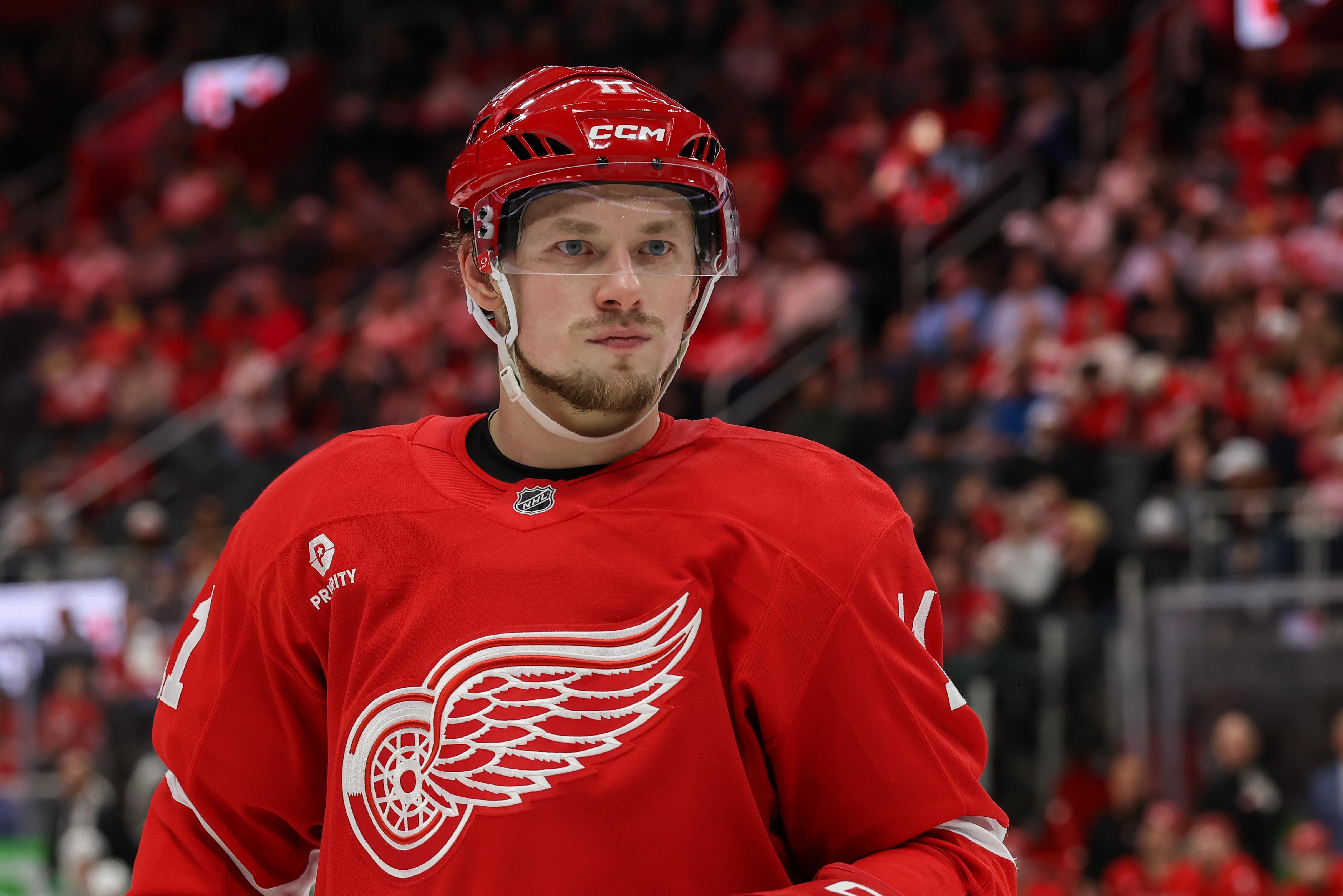 NHL: APR 14 Stars at Red Wings