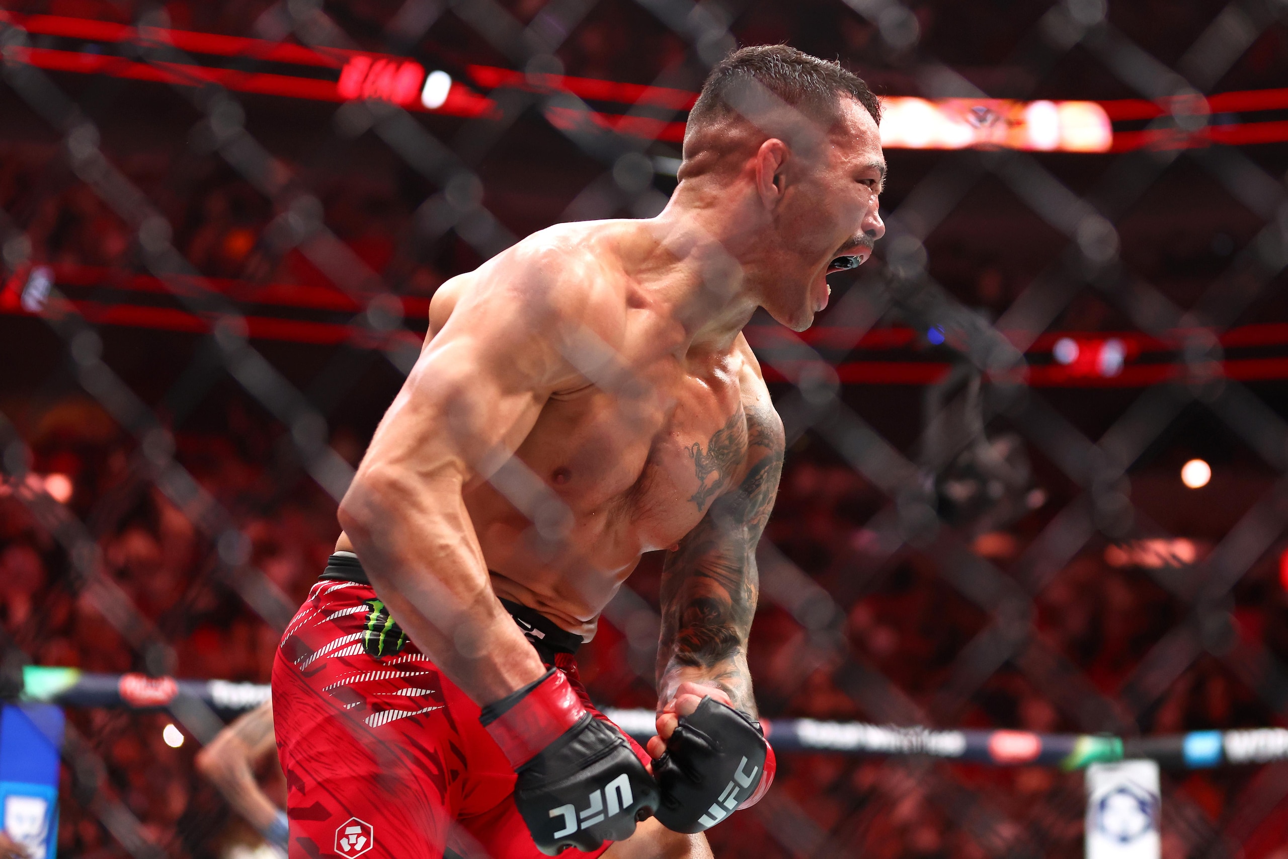 UFC 314: Volkanovski vs. Lopes