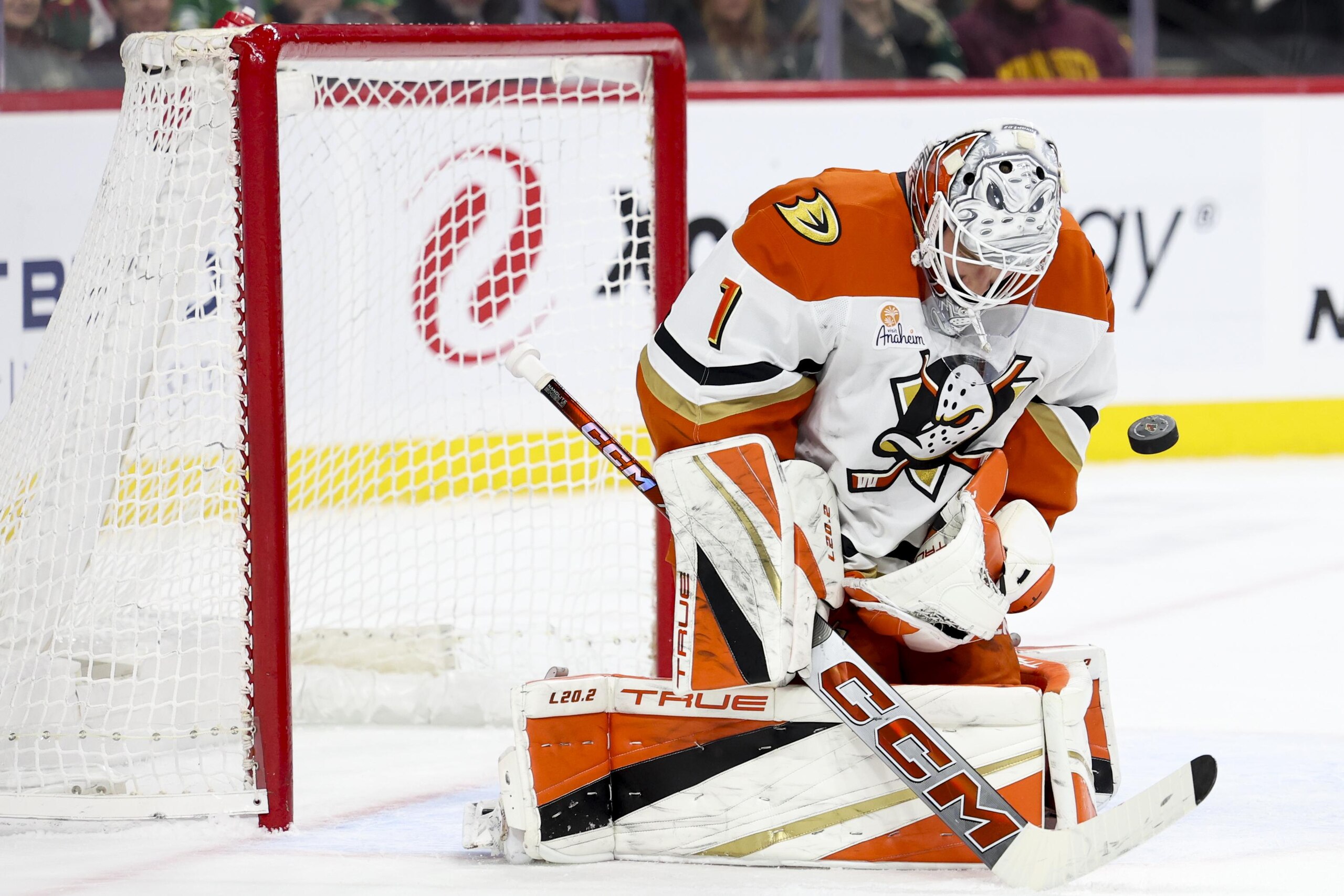 Anaheim Ducks v Minnesota Wild