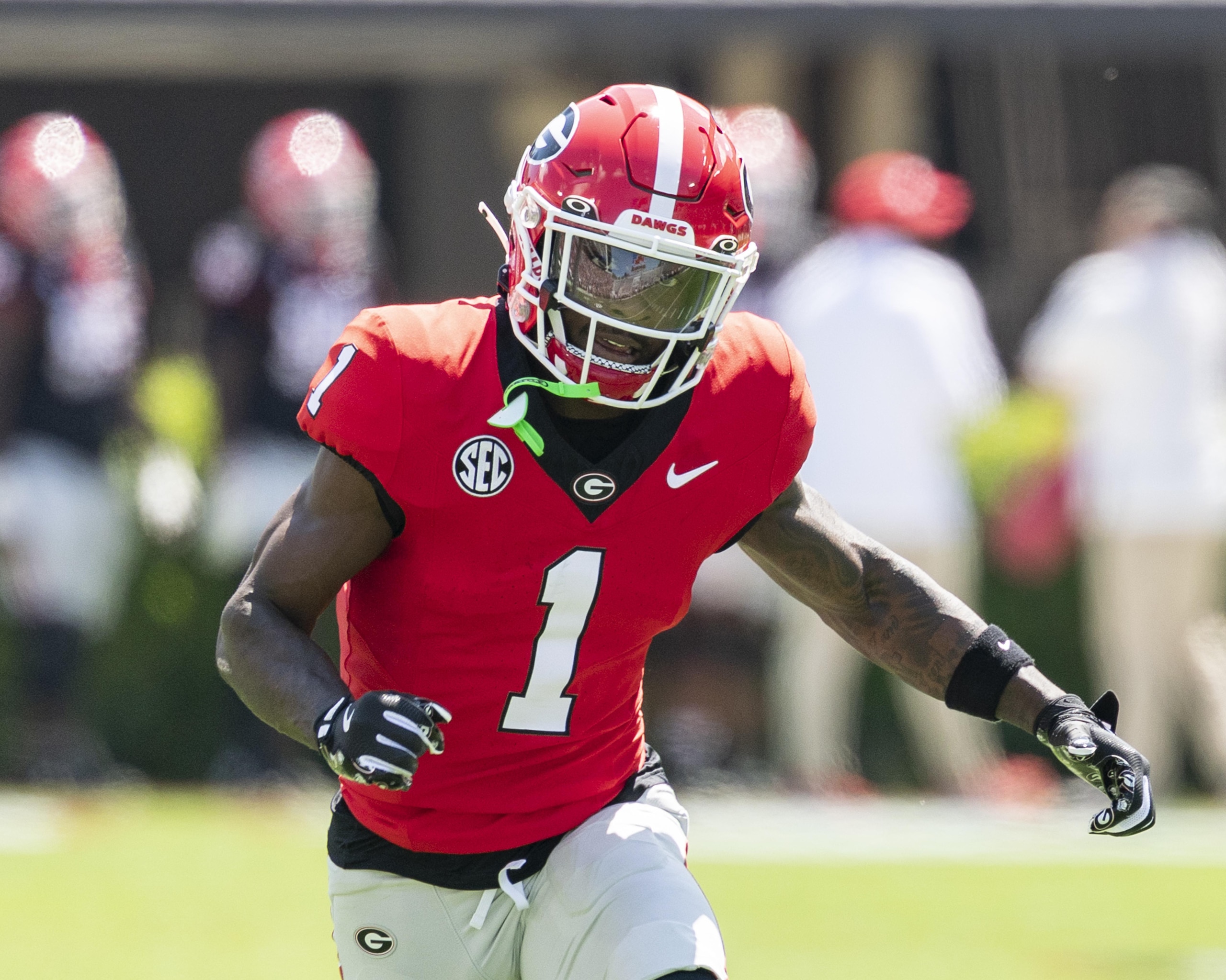 Georgia Spring Game